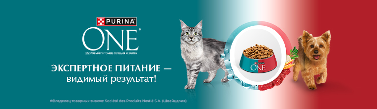 Purina ONE®