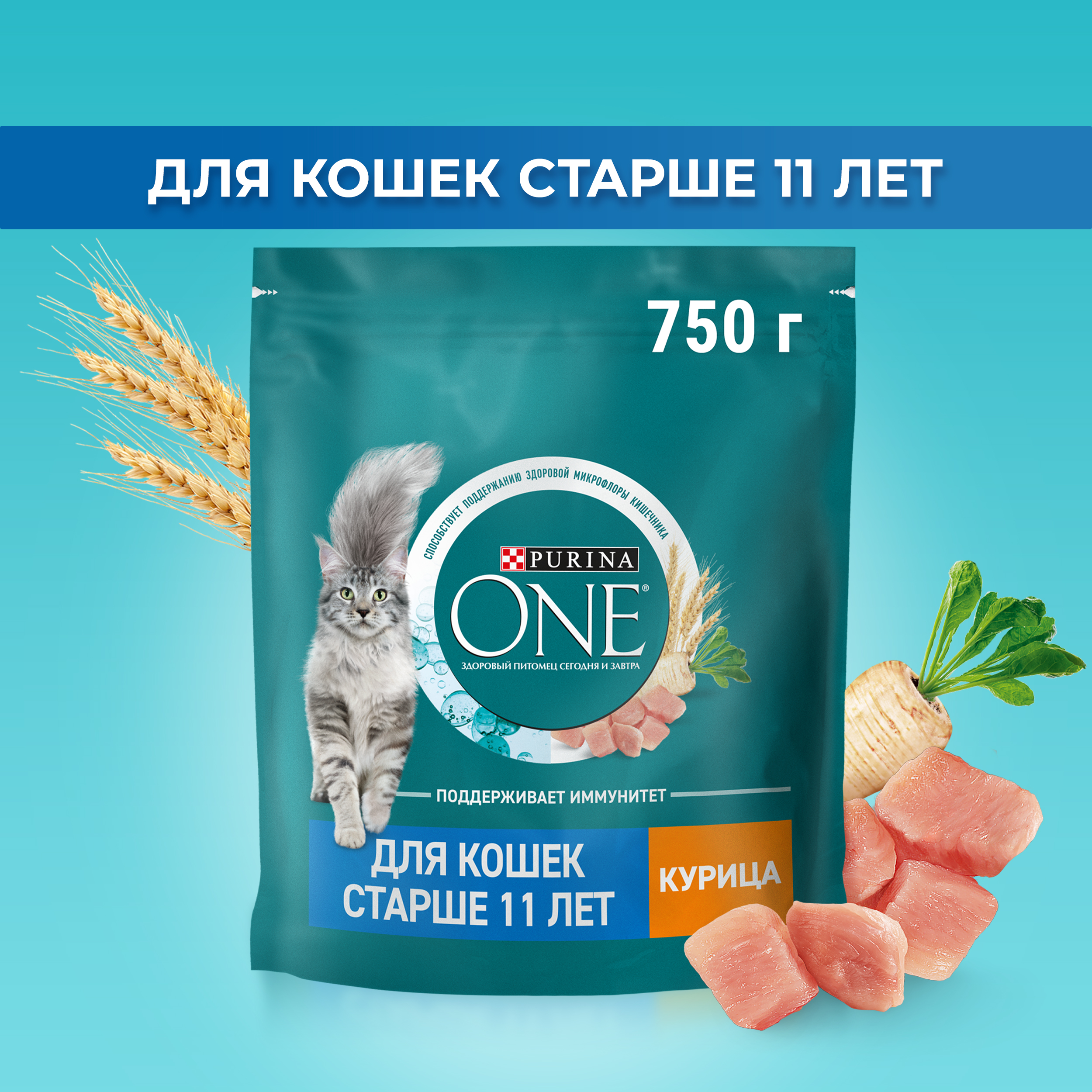 Сухой корм PURINA ONE® для пожилых кошек старше 11 лет с курицей 750 г