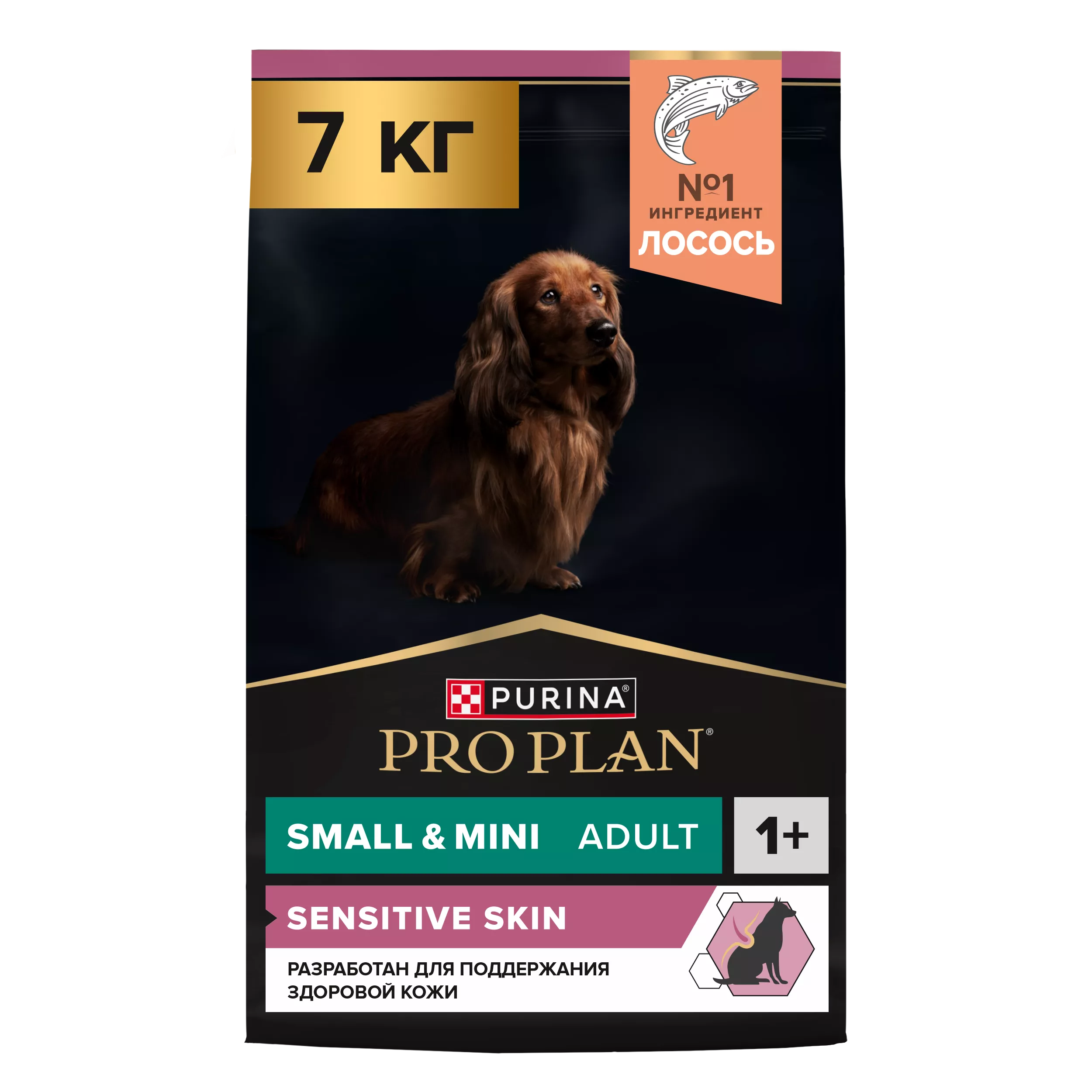 Мен сізге NSK-де куннилингус беремін. Үздік порно актрисалар