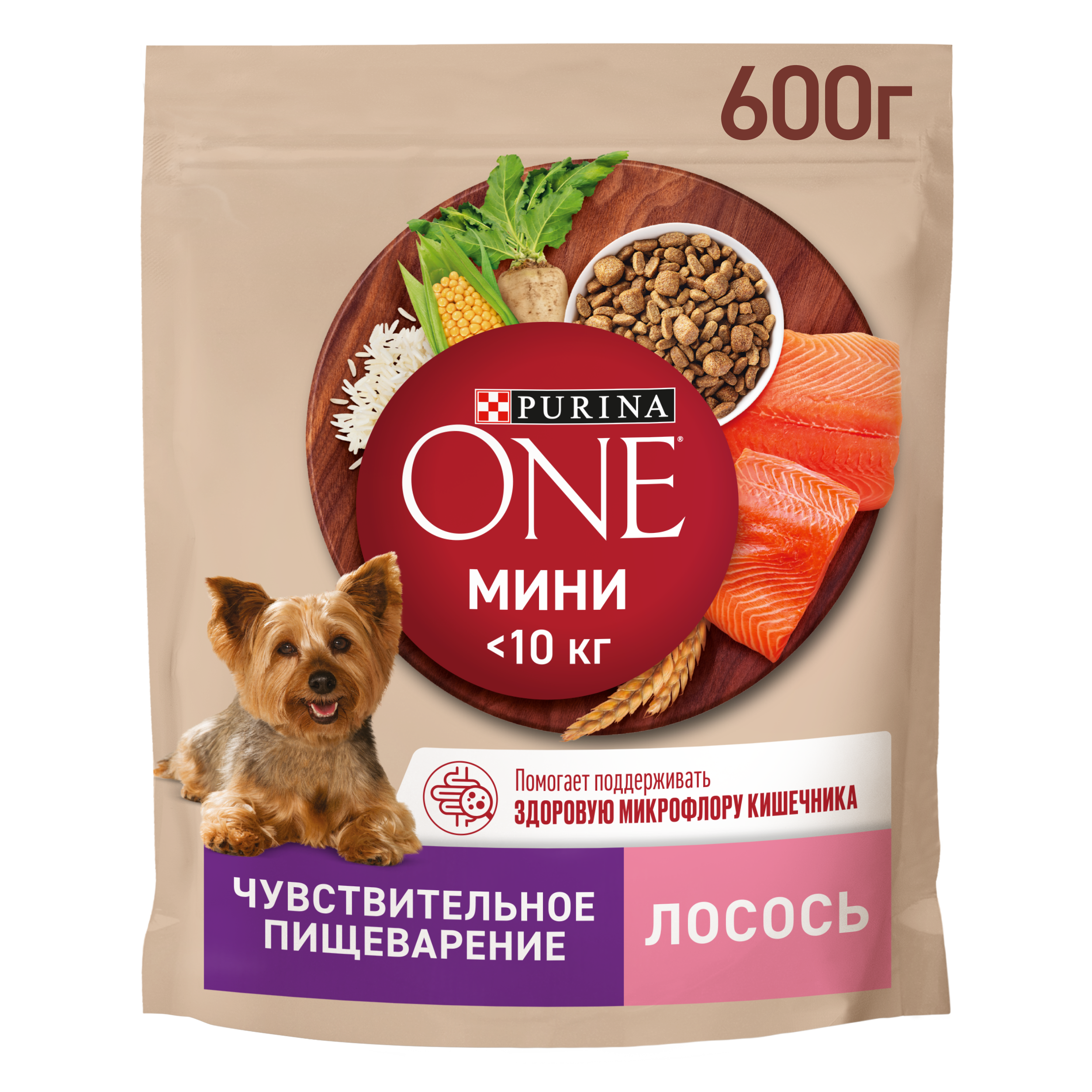 Сухой корм Purina ONE® МИНИ для собак мелких пород для чувствительного пищеварения с лососем и рисом 600 г