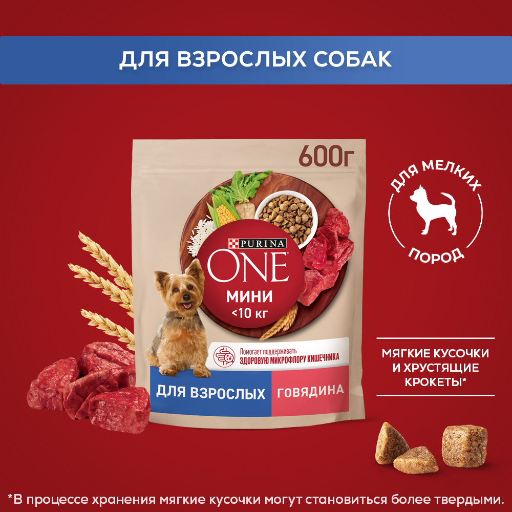 Сухой корм Purina ONE® МИНИ для взрослых собак мелких пород с говядиной и с рисом, 600 г
