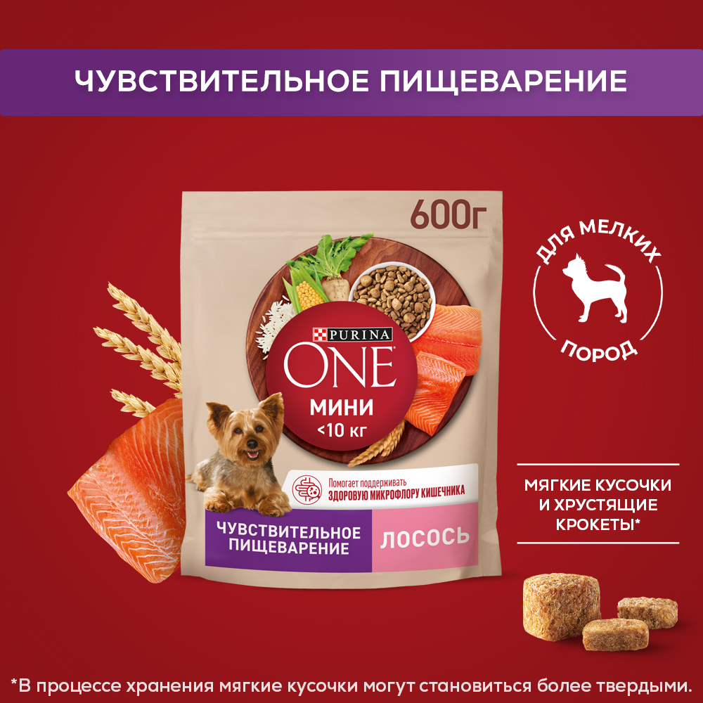 Сухой корм Purina ONE® МИНИ для собак мелких пород для чувствительного пищеварения с лососем и рисом 600 г