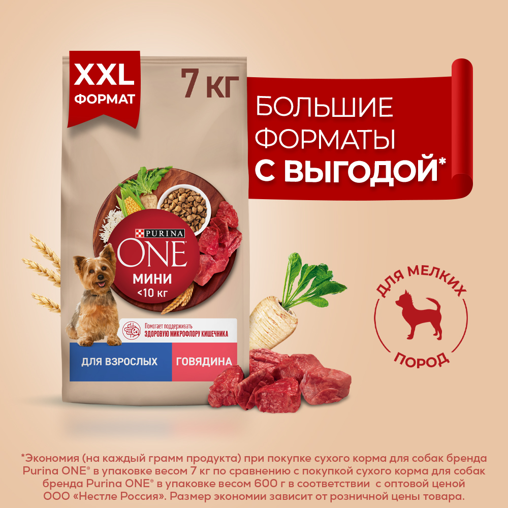 Сухой корм Purina ONE® МИНИ для взрослых собак мелких пород с говядиной и с рисом, 7кг