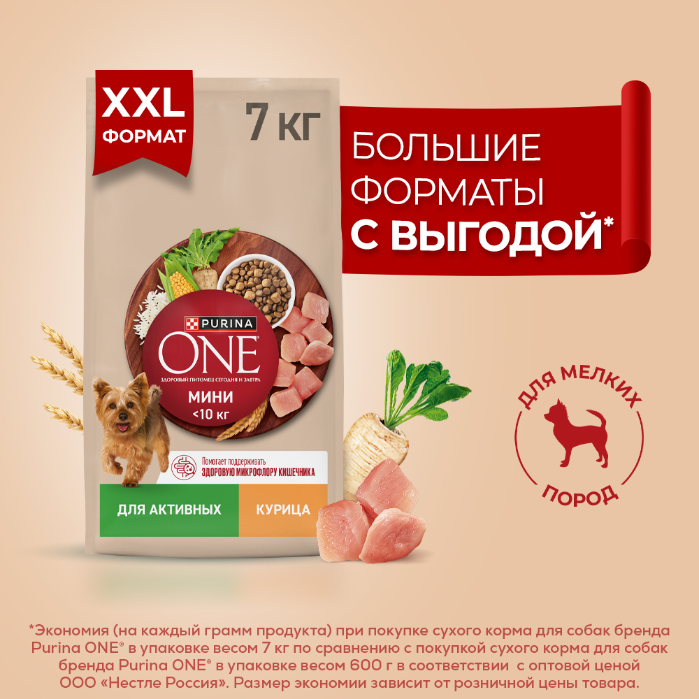 Сухой корм Purina ONE® МИНИ для активных собак мелких пород с курицей и с рисом, 7кг