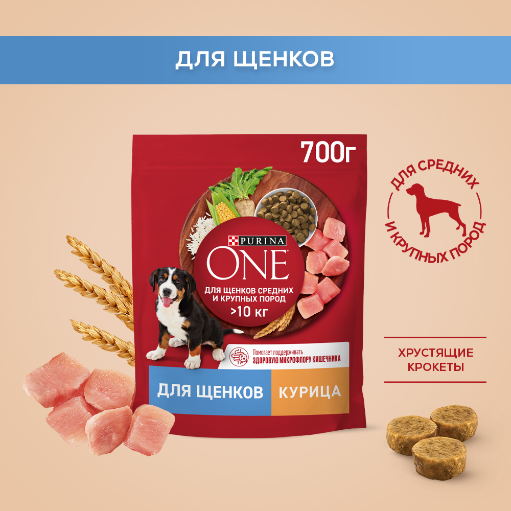 Сухой корм PURINA ONE® для щенков средних и крупных пород с курицей и рисом 700 г