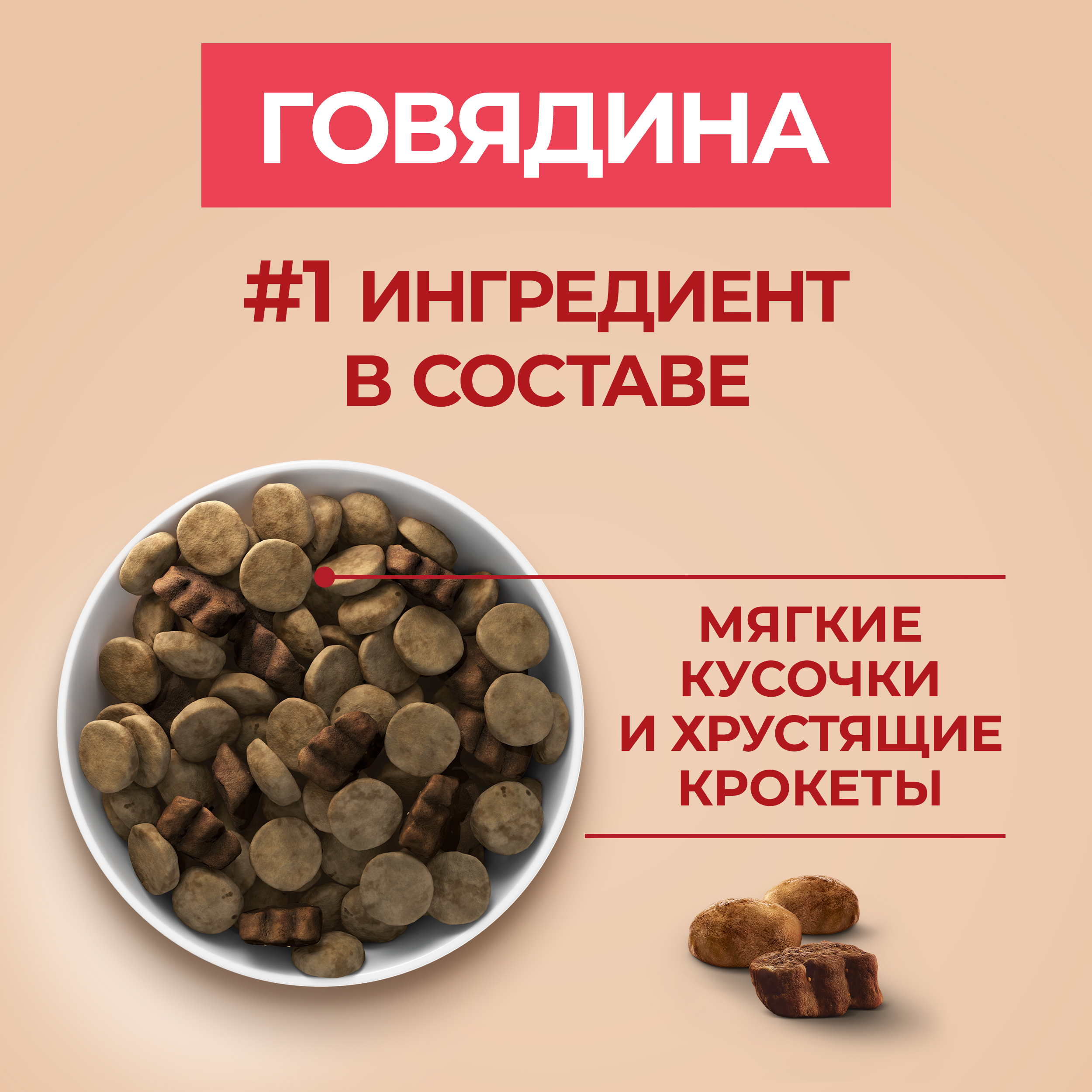 Сухой корм PURINA ONE® для взрослых собак средних и крупных пород, с говядиной и рисом 10кг