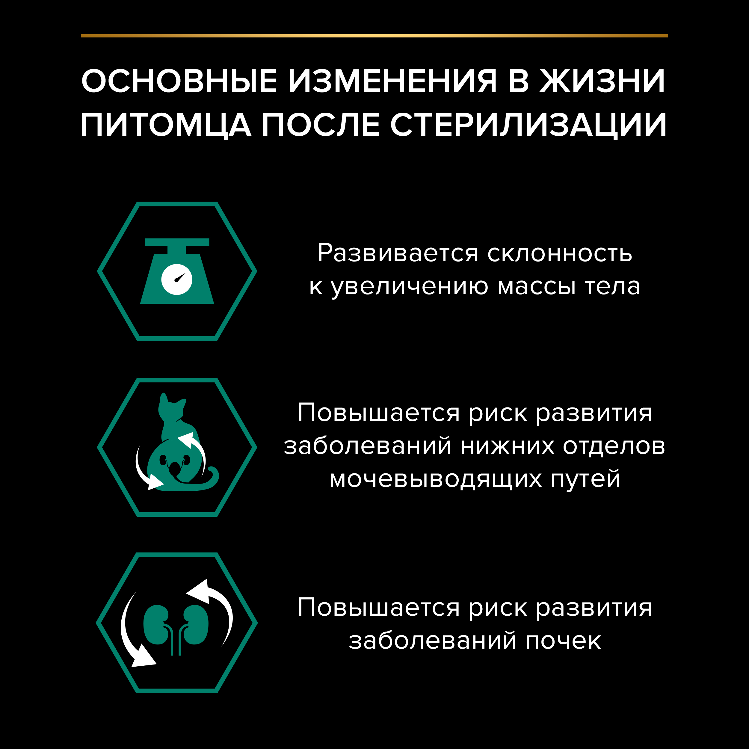 Влажный корм PRO PLAN® Sterilised MAINTENANCE для взрослых стерилизованных кошек с курицей в соусе, 85 г x 26 шт