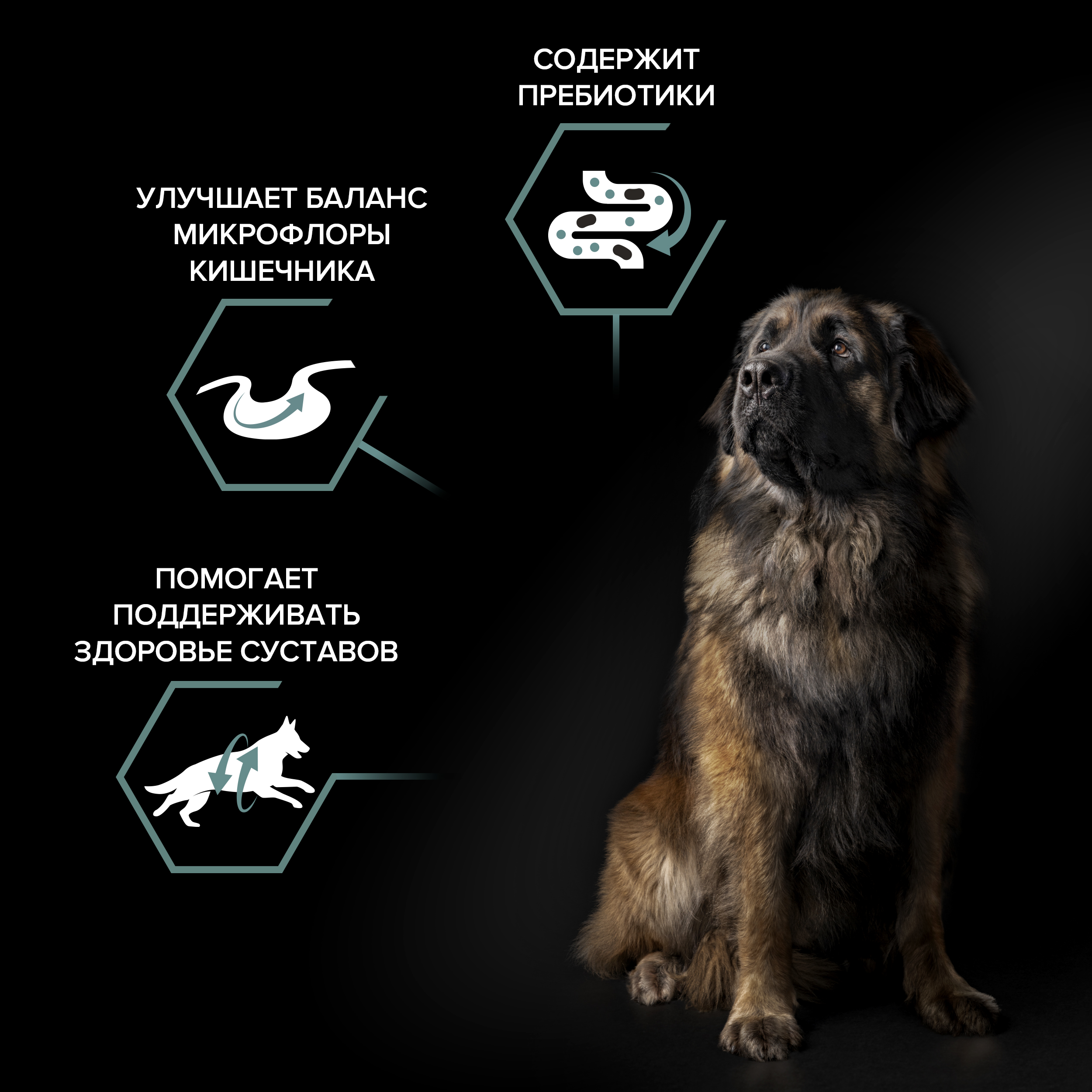 Сухой корм PRO PLAN® SENSITIVE DIGESTION для взрослых собак крупных пород с мощным телосложением с чувствительным пищеварением с ягненком, 14 кг