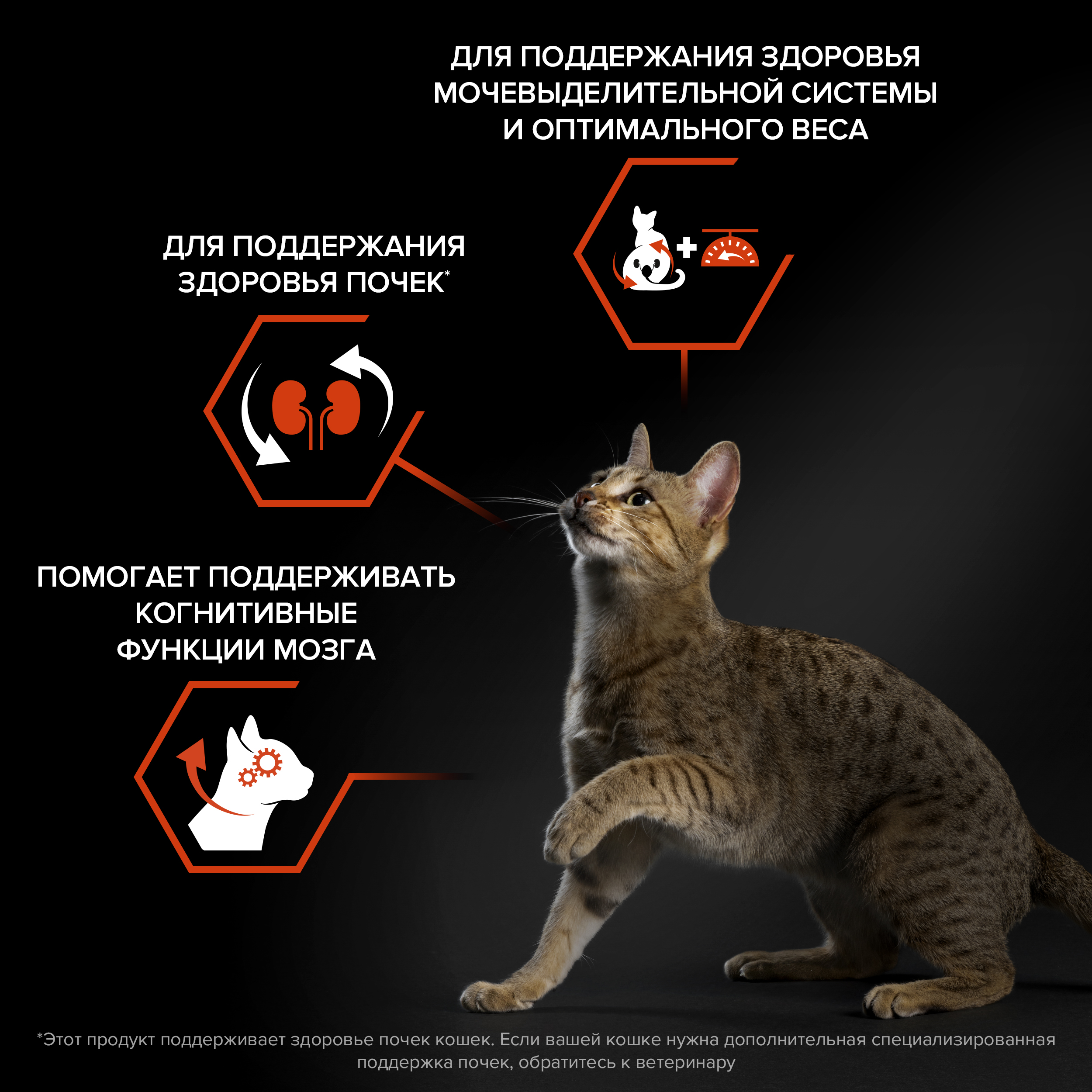 Сухой корм PRO PLAN® Sterilised VITAL FUNCTIONS для стерилизованных кошек для поддержания функций почек, мозга и иммунитета с лососем, 400 г
