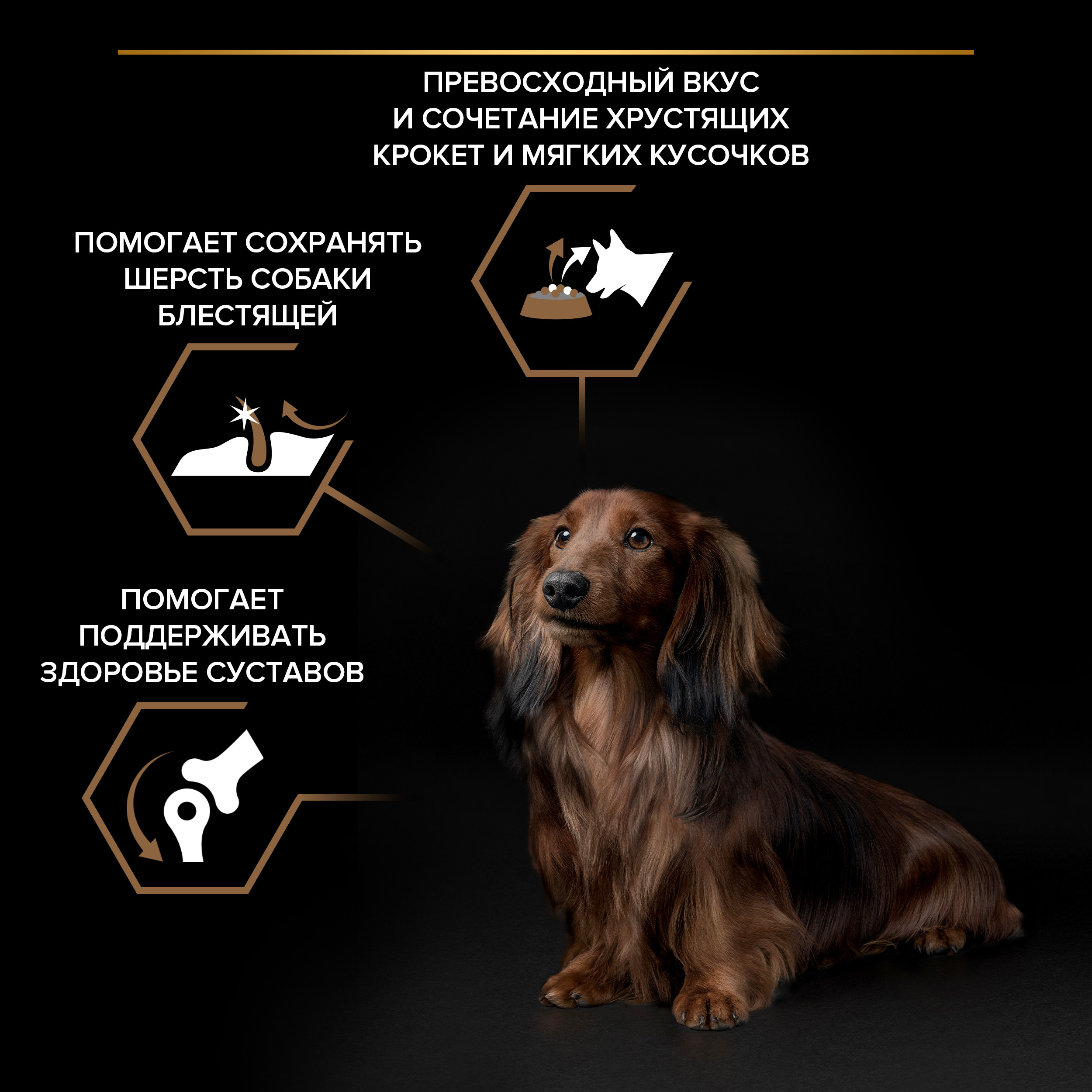 Сухой корм PRO PLAN® DUO DELICE для взрослых собак мелких и карликовых пород с превосходным вкусом и двойной текстурой гранул с говядиной, 700 г