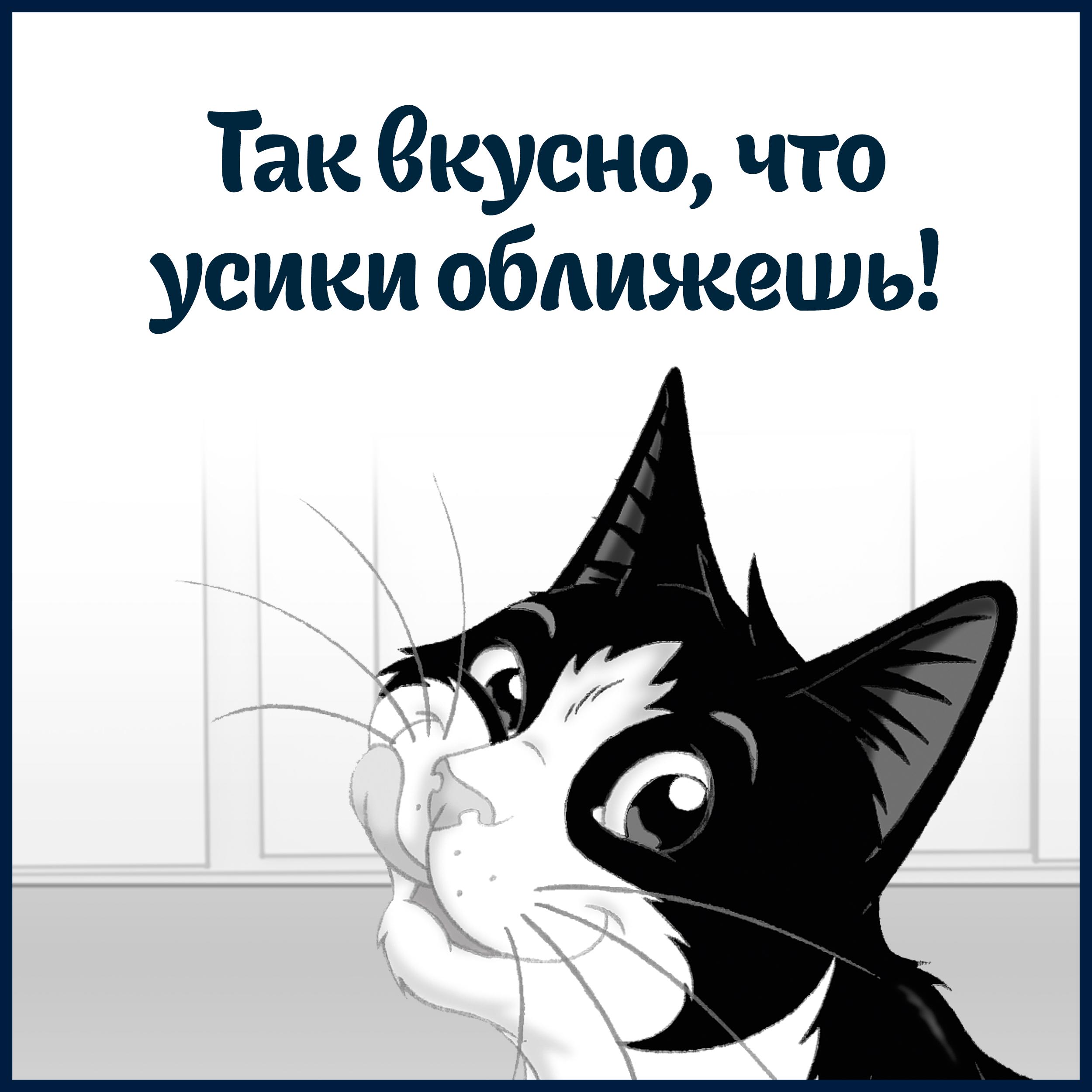 Влажный корм FELIX® Sensations для кошек с уткой в желе со шпинатом 75 г х 26 шт
