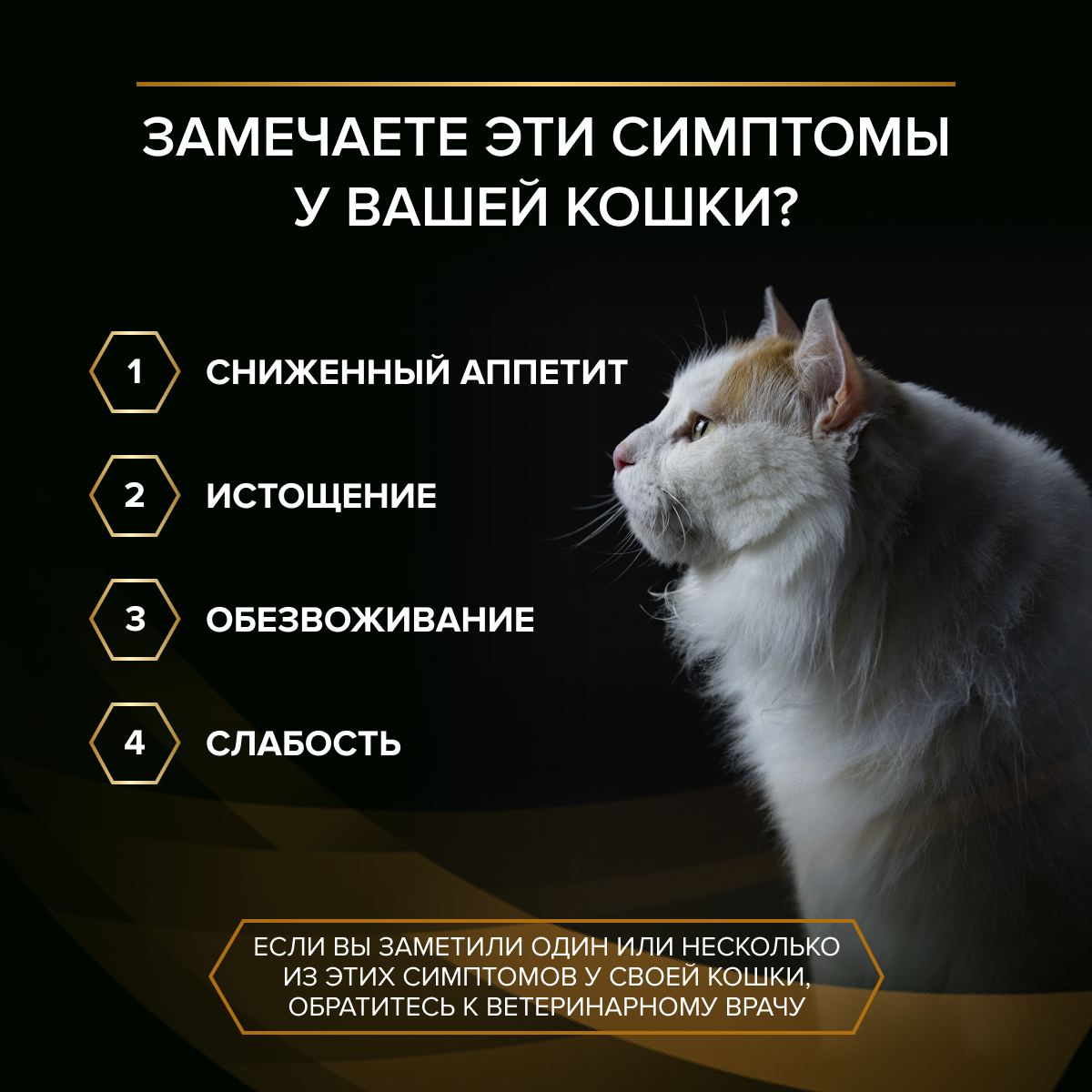 Влажный корм для кошек диетический PRO PLAN®VETERINARY DIETS NF Renal Function Advanced Care для поддержания функции почек при хронической почечной недостаточности, с лососем, 85 г x 26 шт.