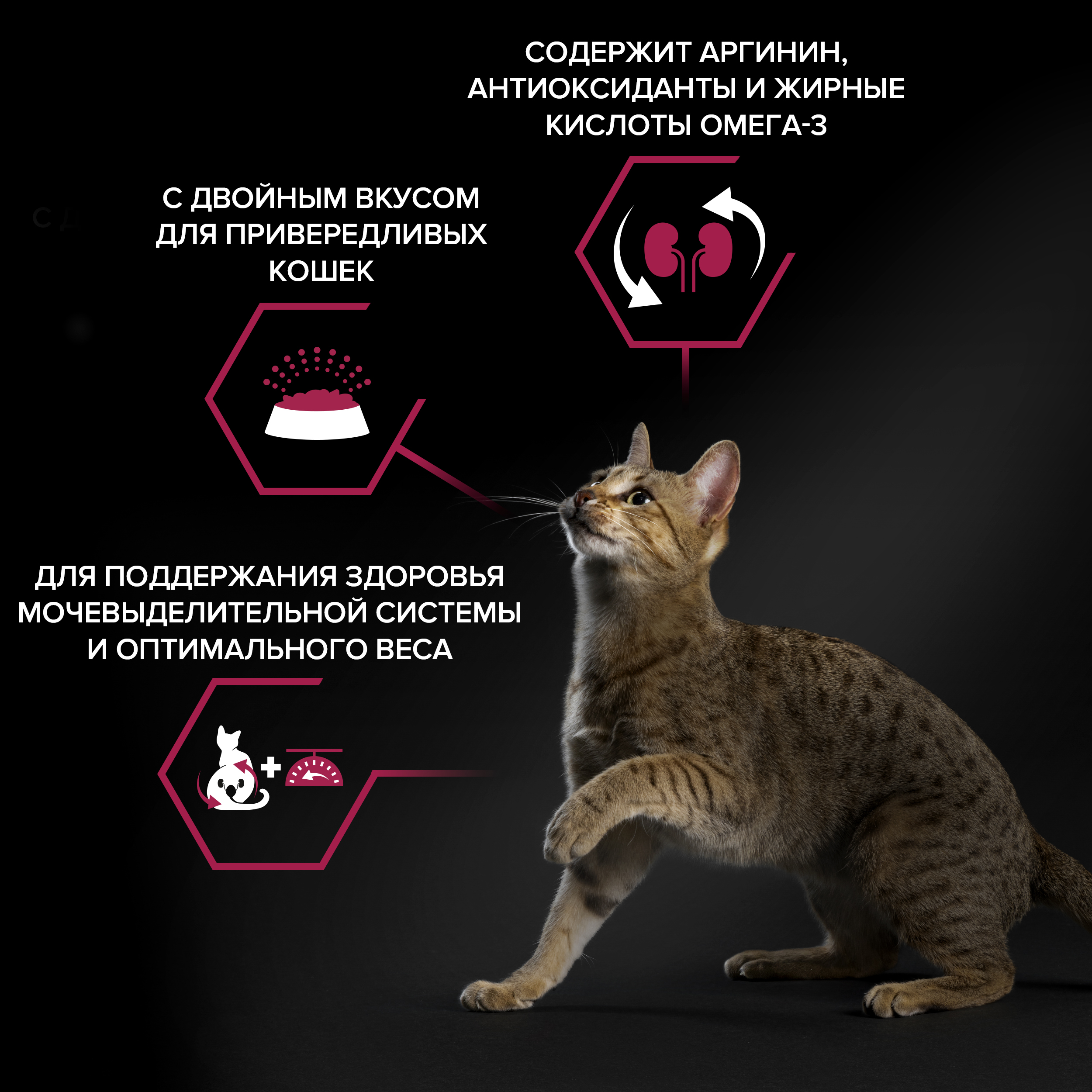 Сухой корм PRO PLAN® Sterilised SAVOURY DUO для взрослых стерилизованных привередливых кошек с уткой и с печенью, 400 г