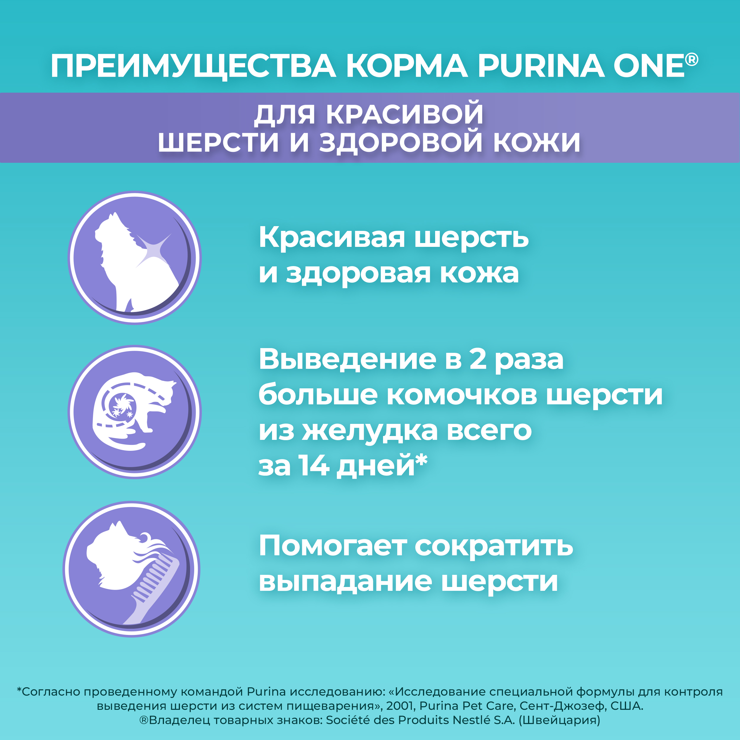 Сухой корм PURINA ONE® для взрослых кошек для красивой шерсти и здоровой кожи с курицей 750 г
