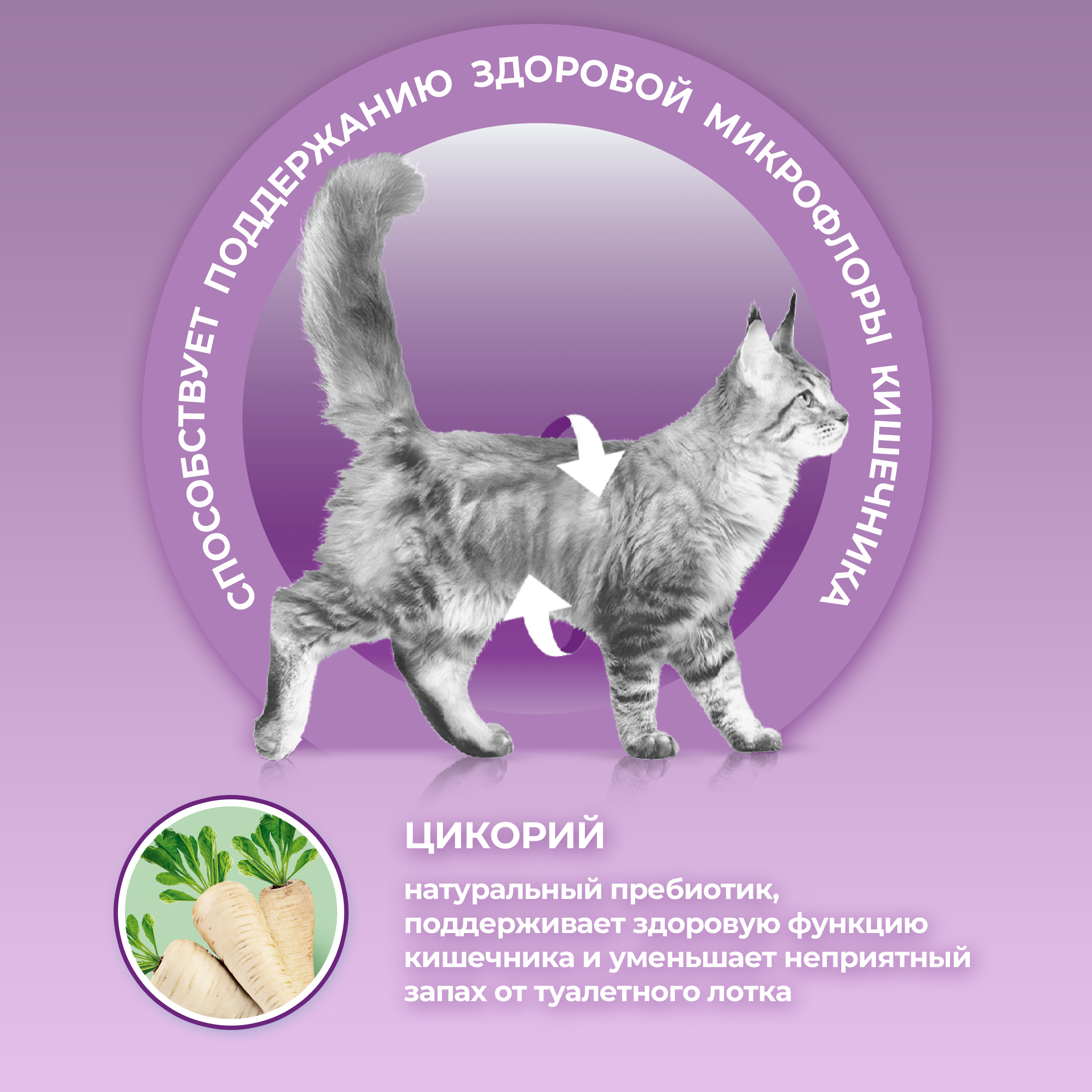 Сухой корм PURINA ONE® для кошек особенно привередливых к вкусу с уткой и печенью, 750 г
