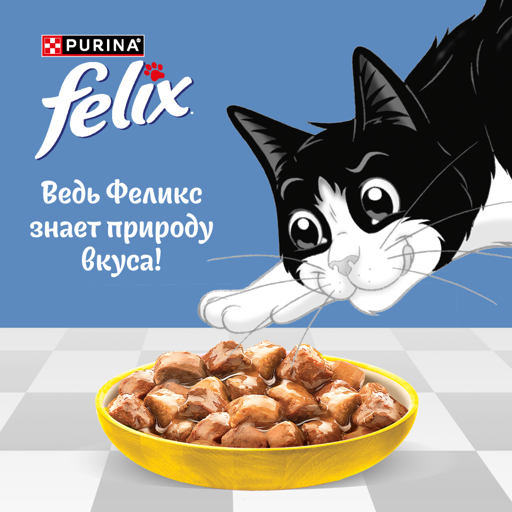 Влажный корм FELIX® Природа вкуса для кошек, с курицей в соусе 75 г х 26 шт