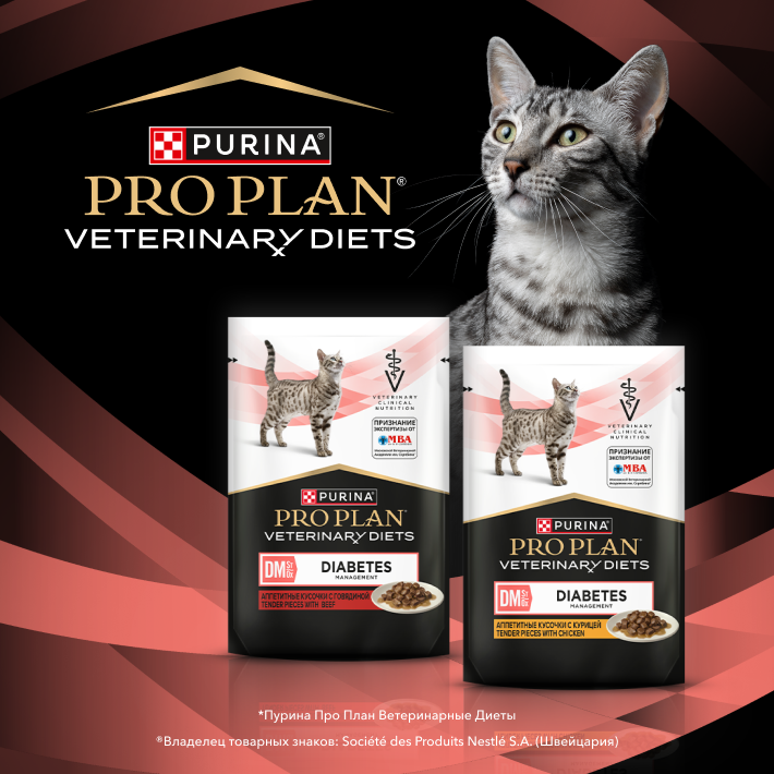 Влажный корм для котят и взрослых кошек диетический PRO PLAN® VETERINARY DIETS DM St/Ox Diabetes Management при диабете с говядиной, 85 г x 26 шт.