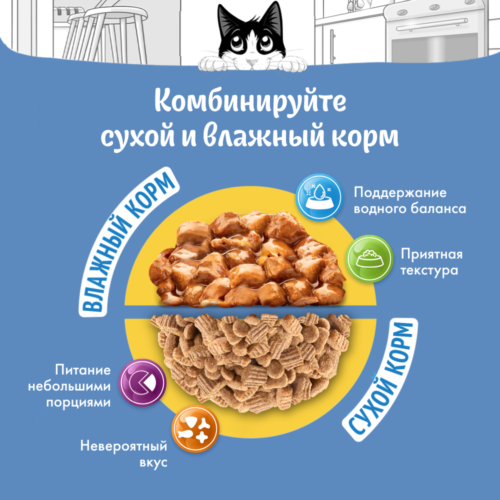 Влажный корм FELIX® Природа вкуса для кошек, с курицей в соусе 75 г х 26 шт