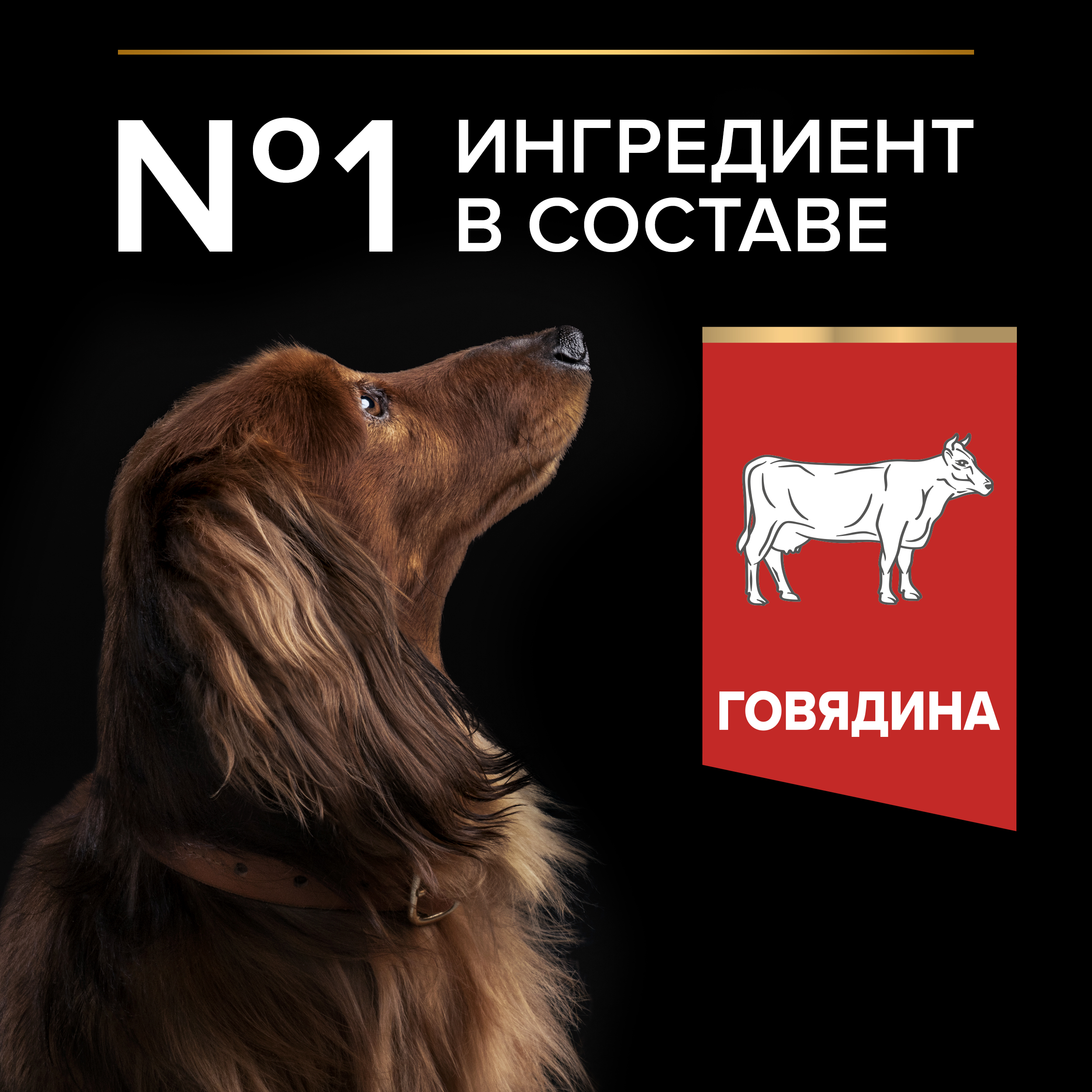 Сухой корм PRO PLAN® DUO DELICE для взрослых собак мелких и карликовых пород с превосходным вкусом и двойной текстурой гранул с говядиной, 700 г