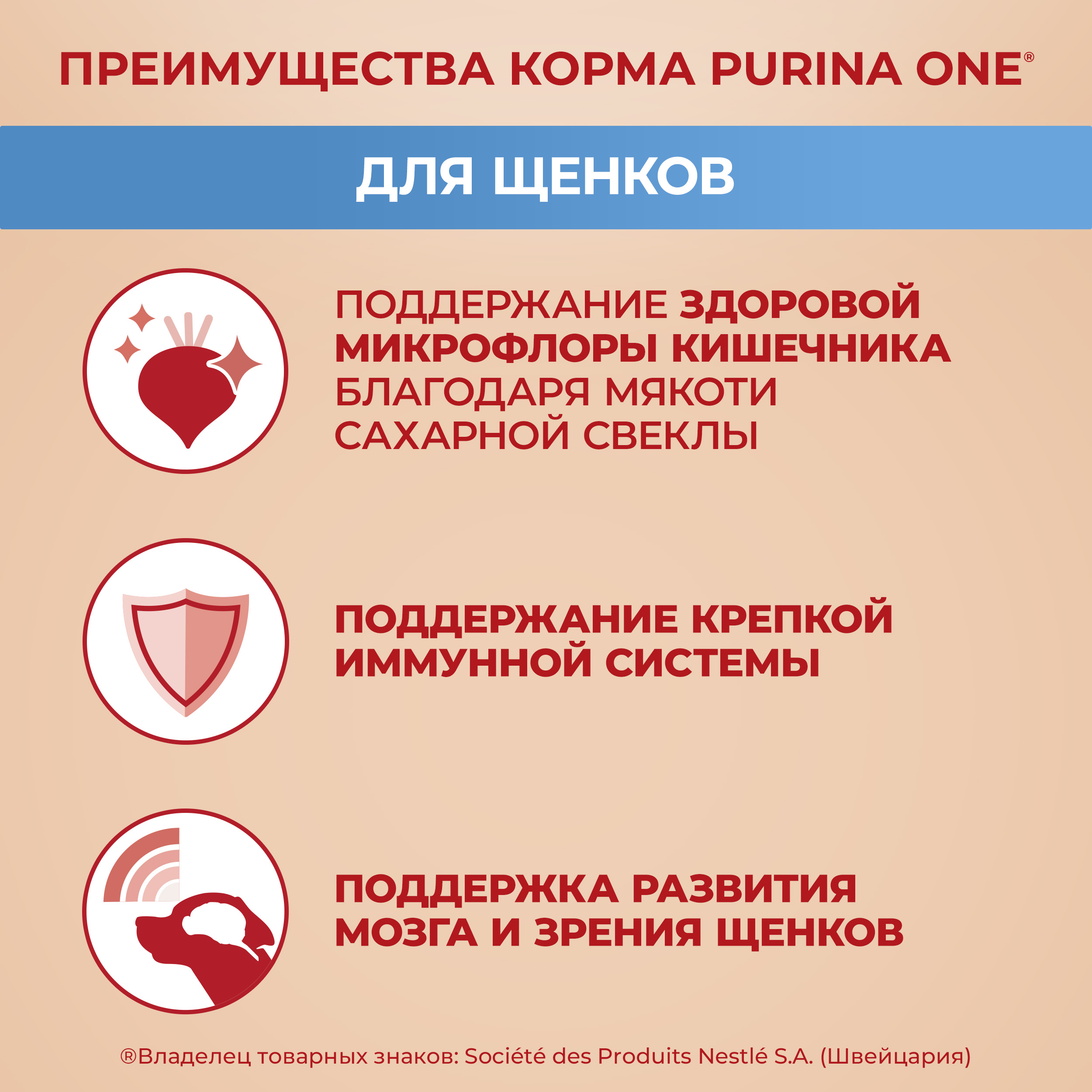 Сухой корм PURINA ONE® для щенков средних и крупных пород с курицей и рисом 700 г
