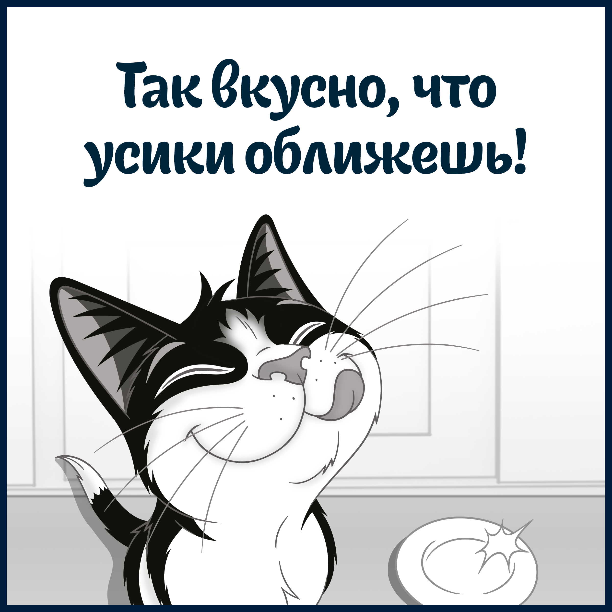 Влажный корм FELIX® Суп для кошек с говядиной 48 г х 36 шт.