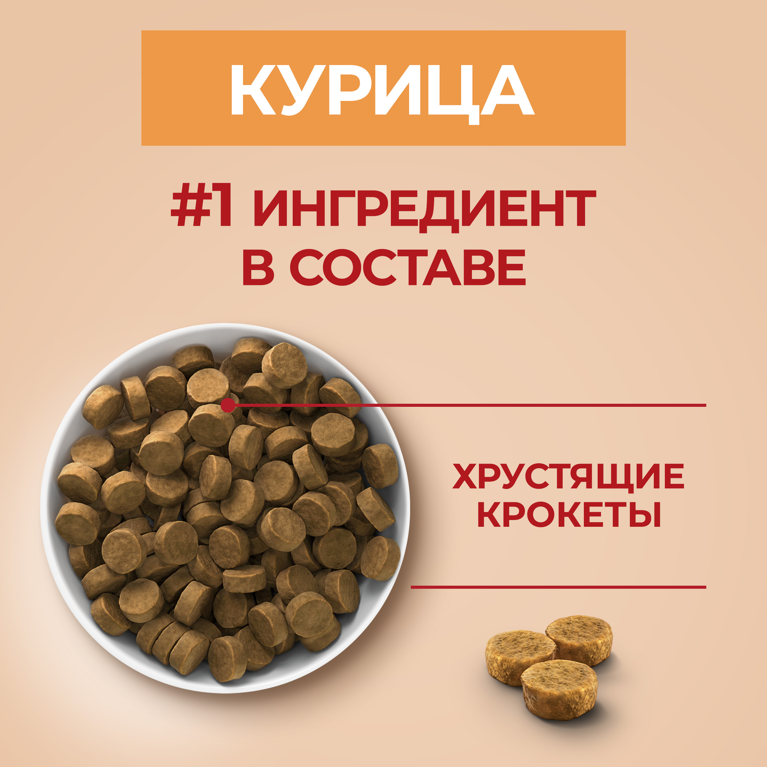 Сухой корм PURINA ONE® для щенков средних и крупных пород с курицей и рисом 700 г
