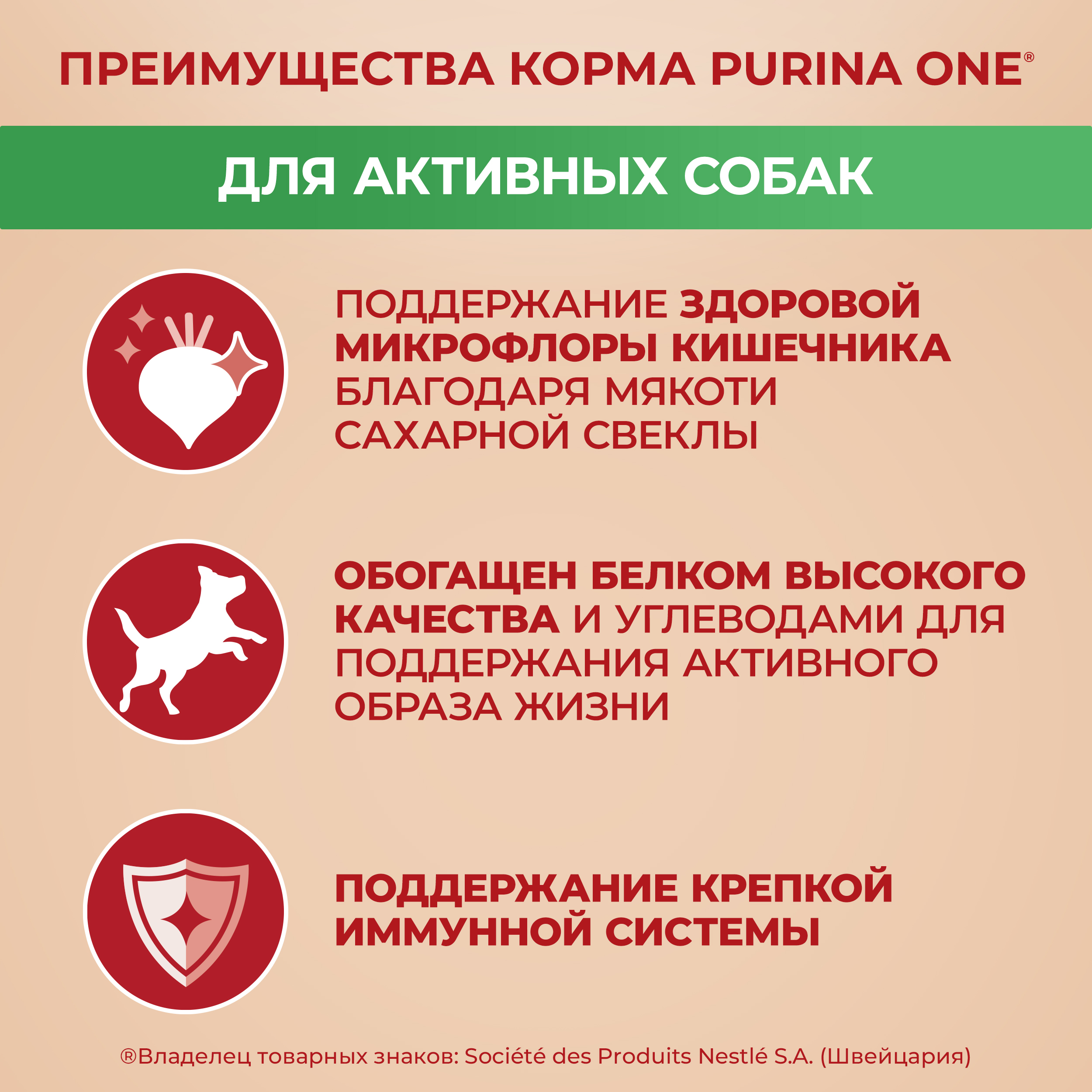 Сухой корм Purina ONE® МИНИ для активных собак мелких пород с курицей и с рисом, 7кг