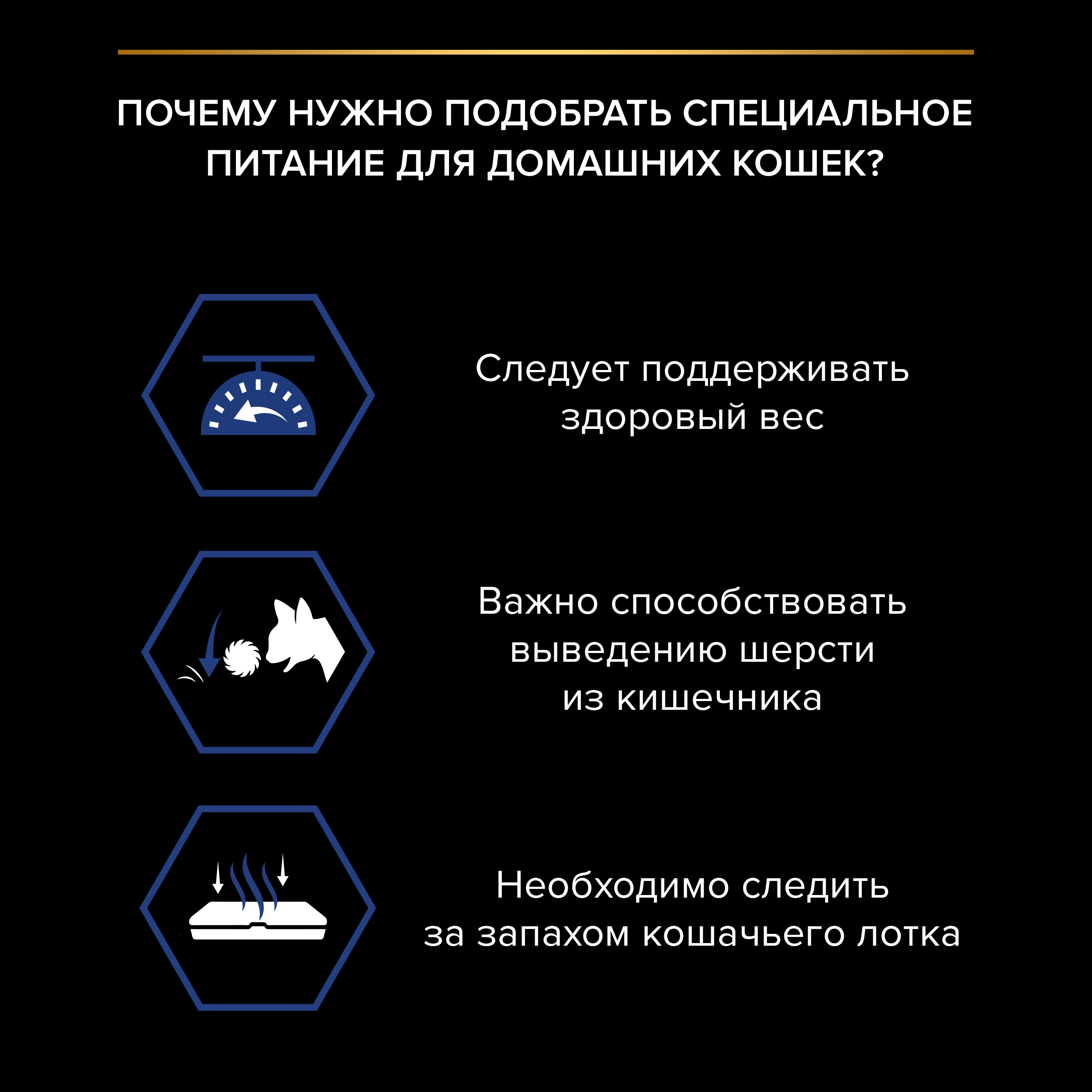 Влажный корм PRO PLAN® INDOOR для взрослых домашних кошек с лососем в соусе, 85г x 26 шт