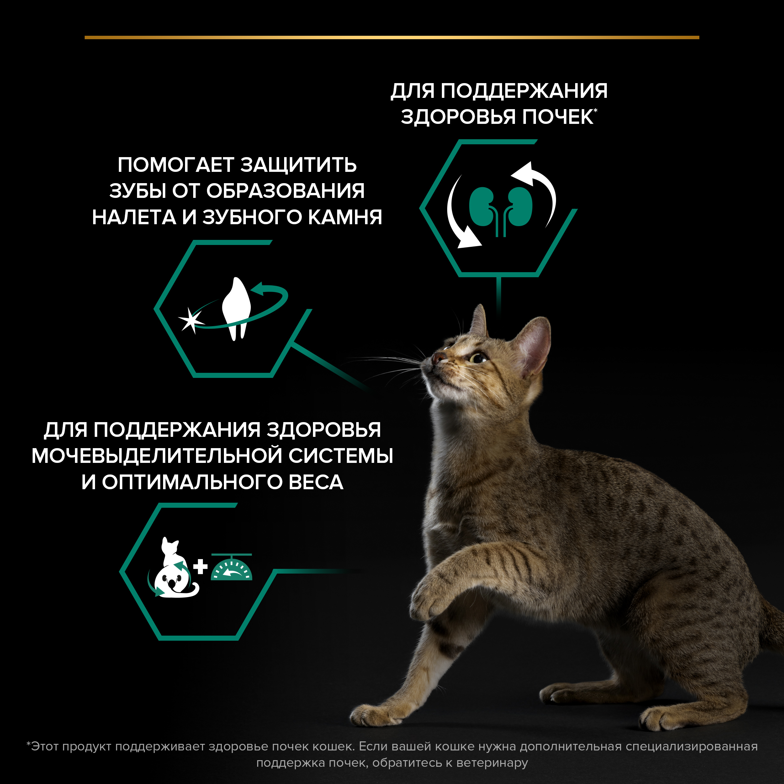 Сухой корм PRO PLAN® Sterilised RENAL PLUS для взрослых стерилизованных кошек для поддержания здоровья почек с индейкой, 200 г