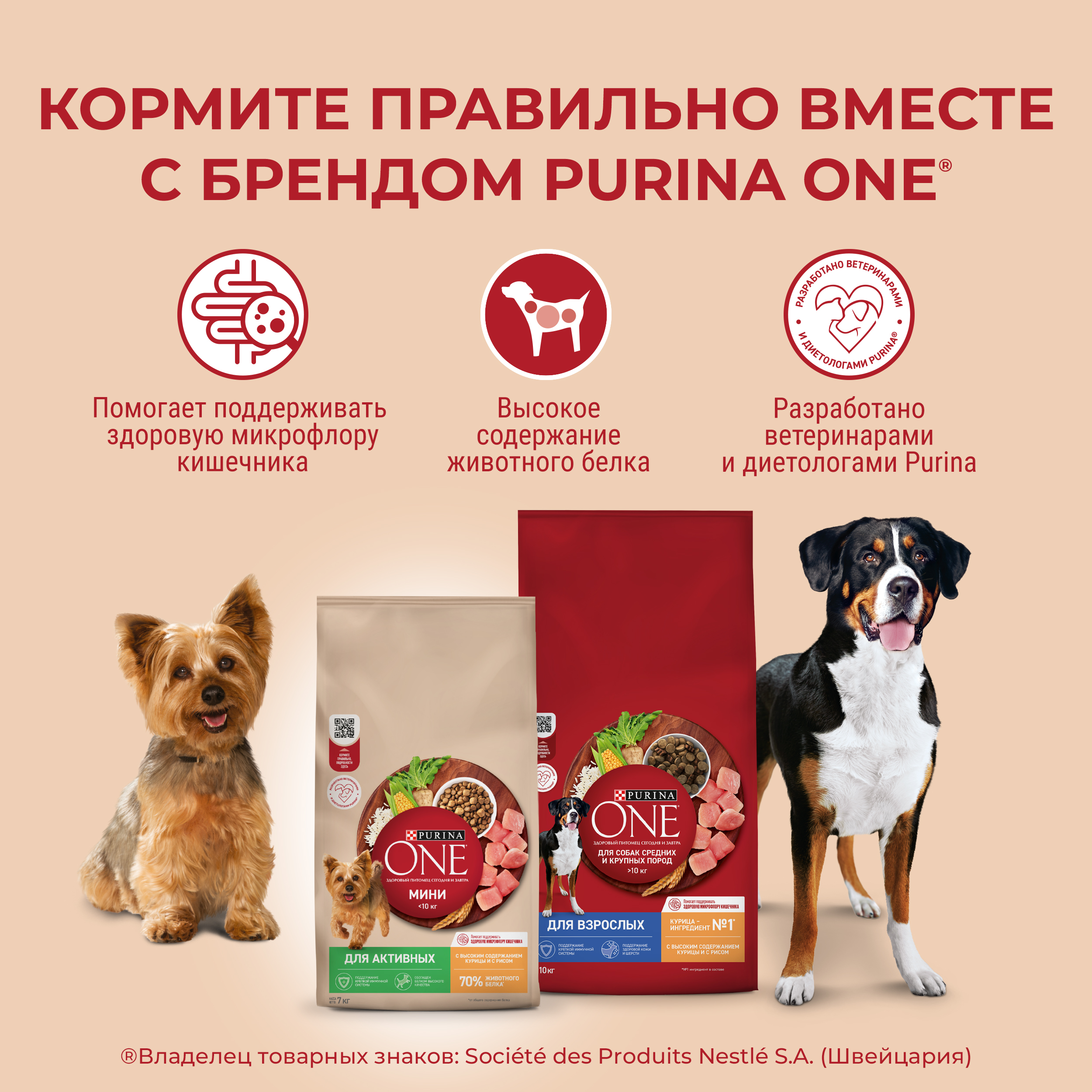 Сухой корм Purina ONE® МИНИ для активных собак мелких пород с курицей и с рисом, 7кг