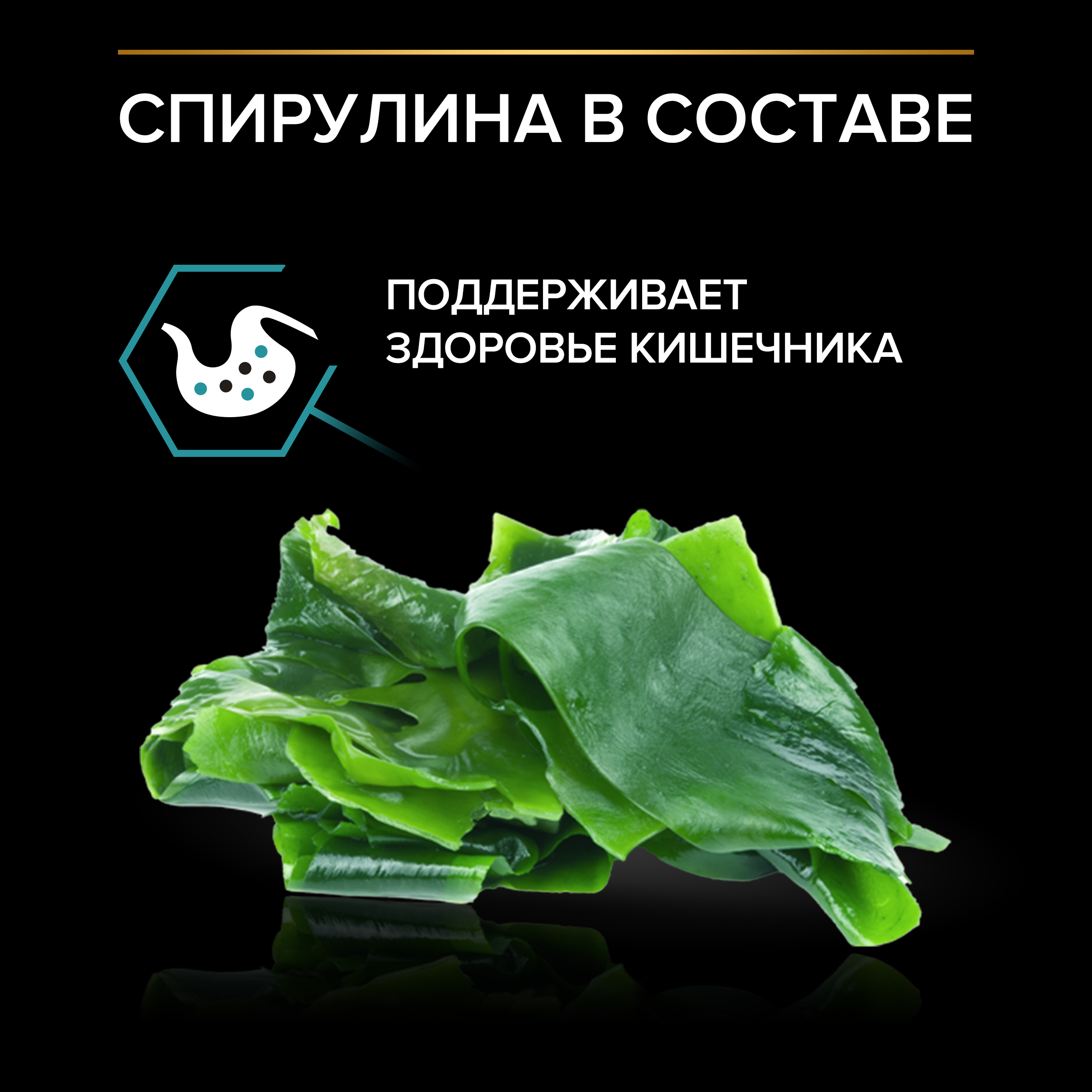 Сухой корм PRO PLAN® Nature Elements DELICATE DIGESTION для кошек при чувствительном пищеварении с индейкой 7 кг