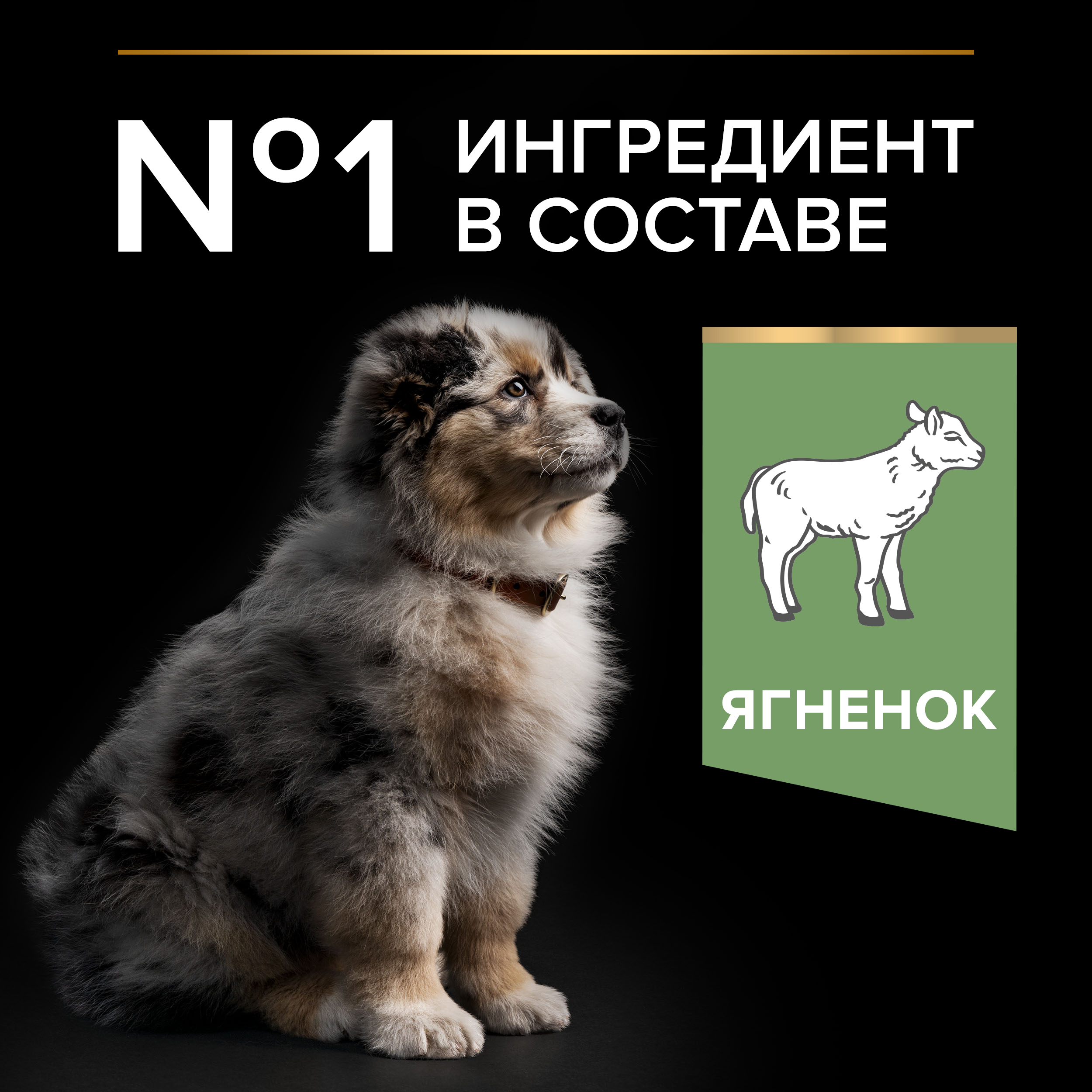 Сухой корм PRO PLAN® SENSITIVE DIGESTION для щенков средних пород с чувствительным пищеварением с ягненком, 12 кг