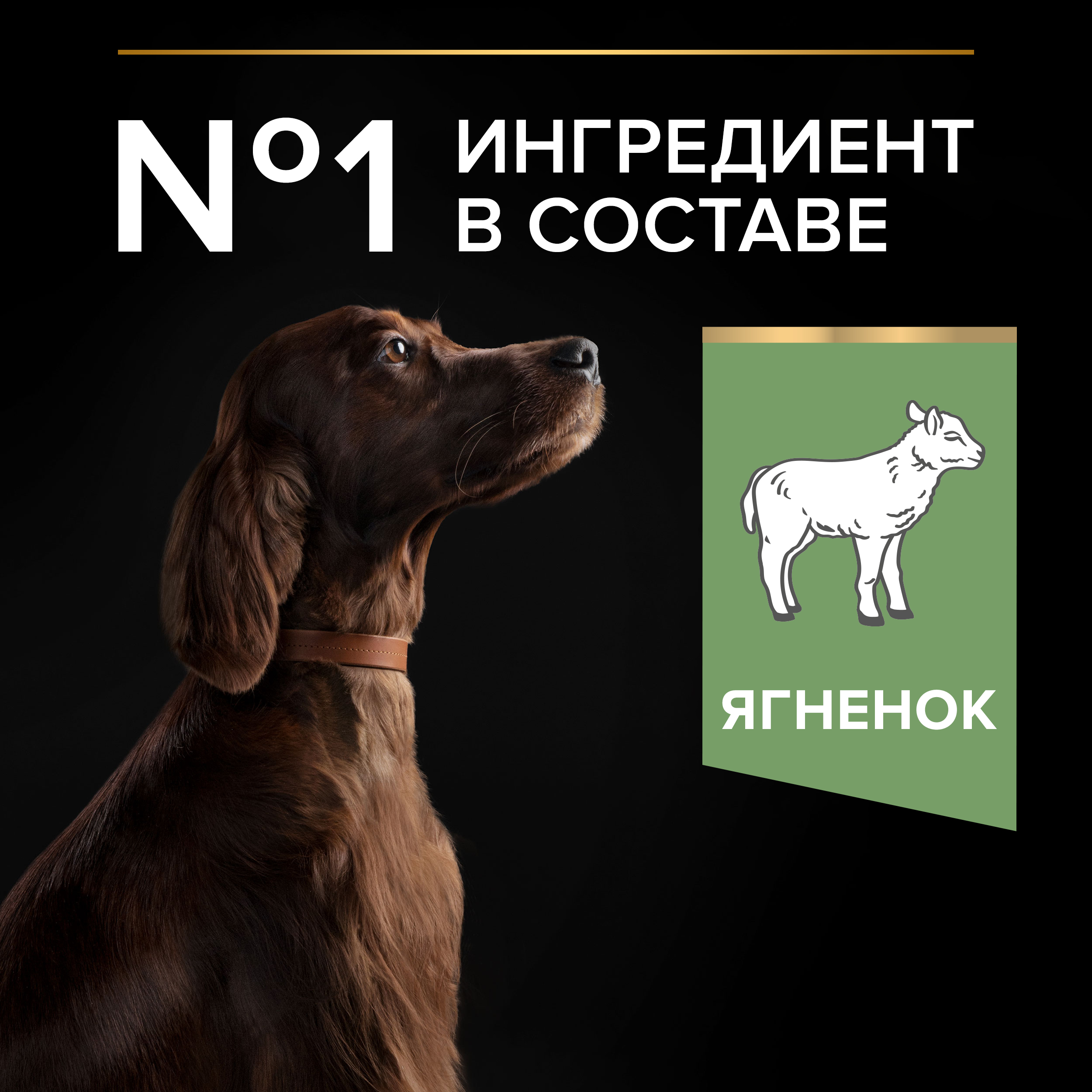 Сухой корм PRO PLAN® SENSITIVE DIGESTION для взрослых собак крупных пород с атлетическим телосложением с чувствительным пищеварением с ягненком, 14 кг