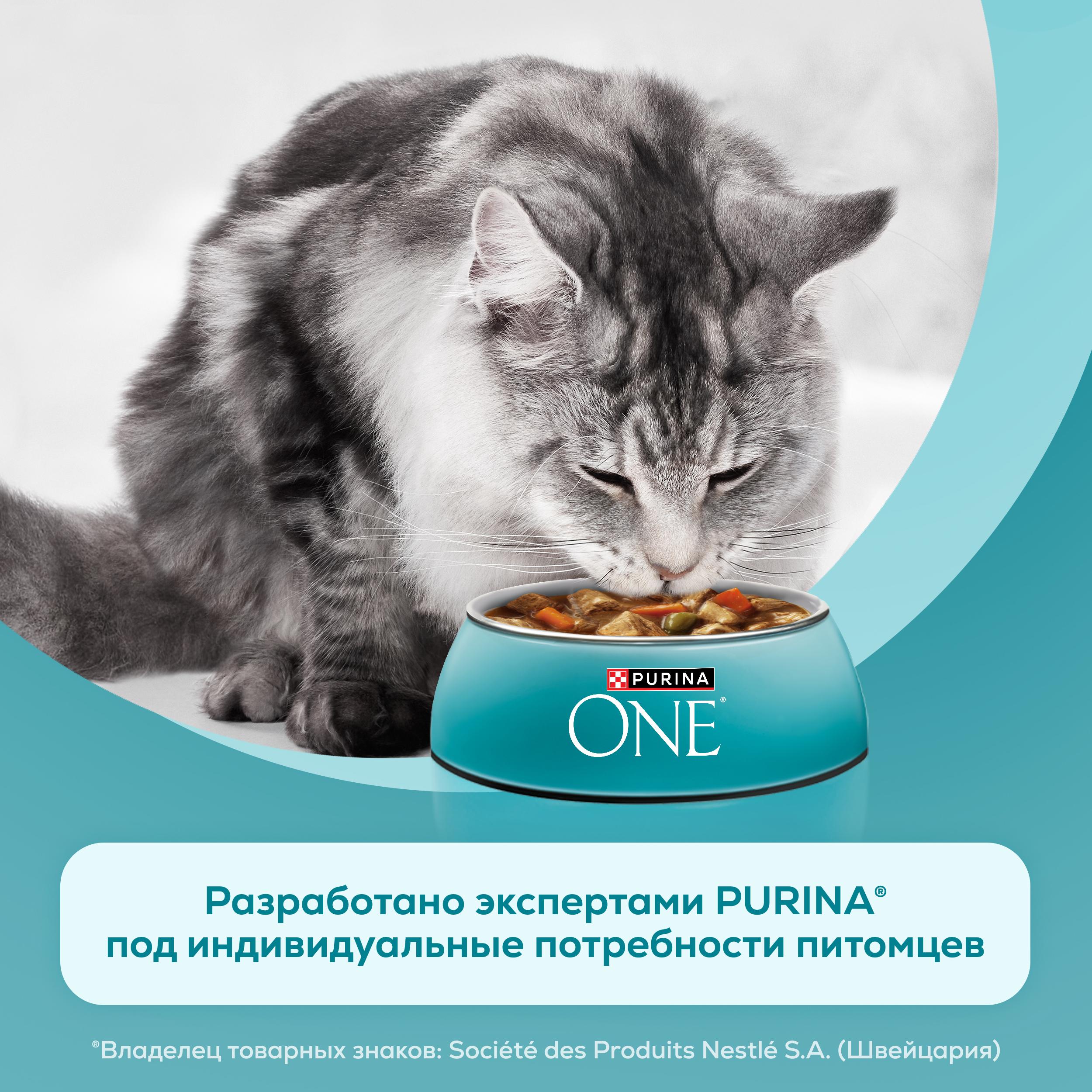 Влажный корм PURINA ONE® для стерилизованных кошек и кастрированных котов, с курицей и зеленой фасолью 75 г х 26 шт