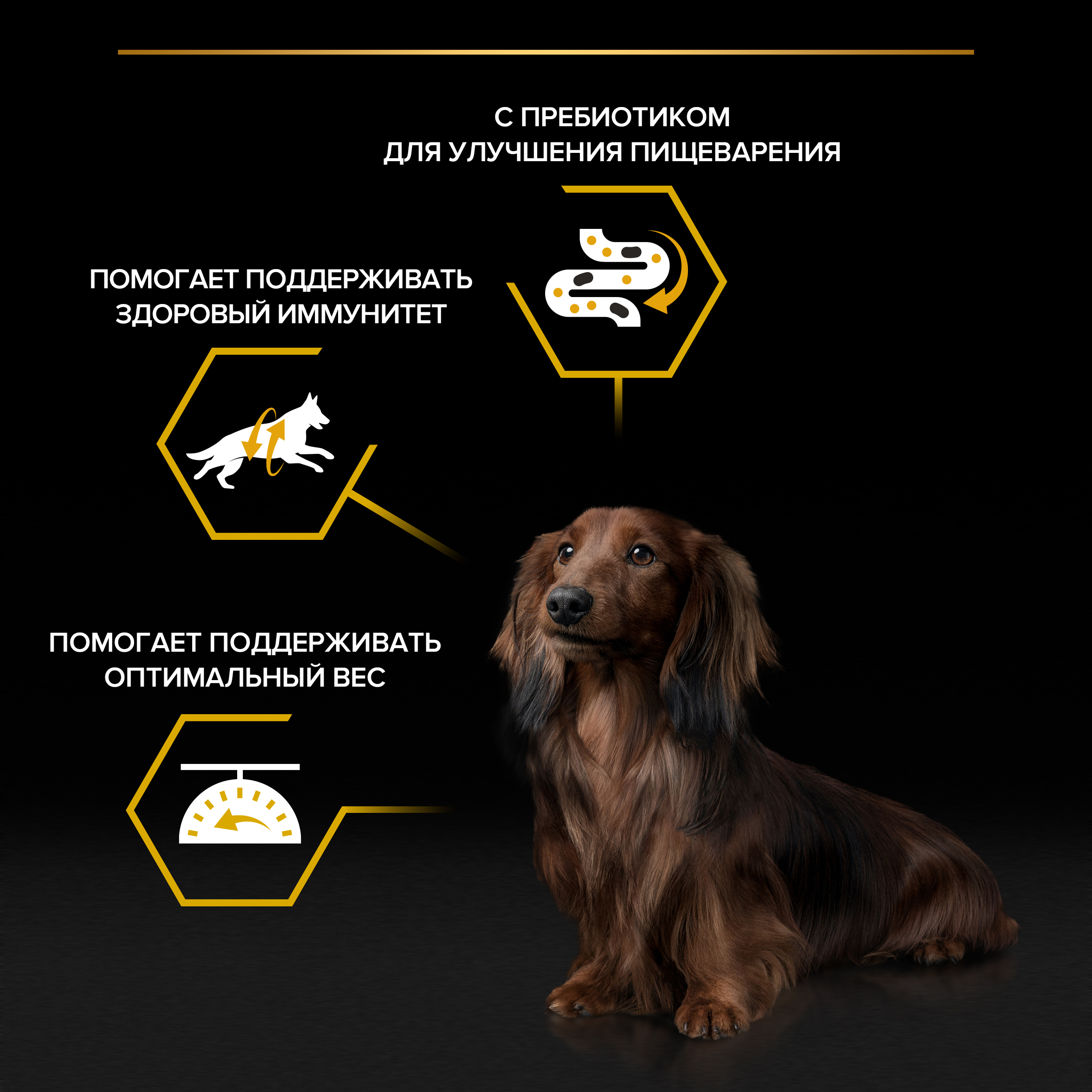 Влажный корм PRO PLAN® для взрослых собак мелких и карликовых пород, склонных к набору веса, с курицей в соусе, 85 г