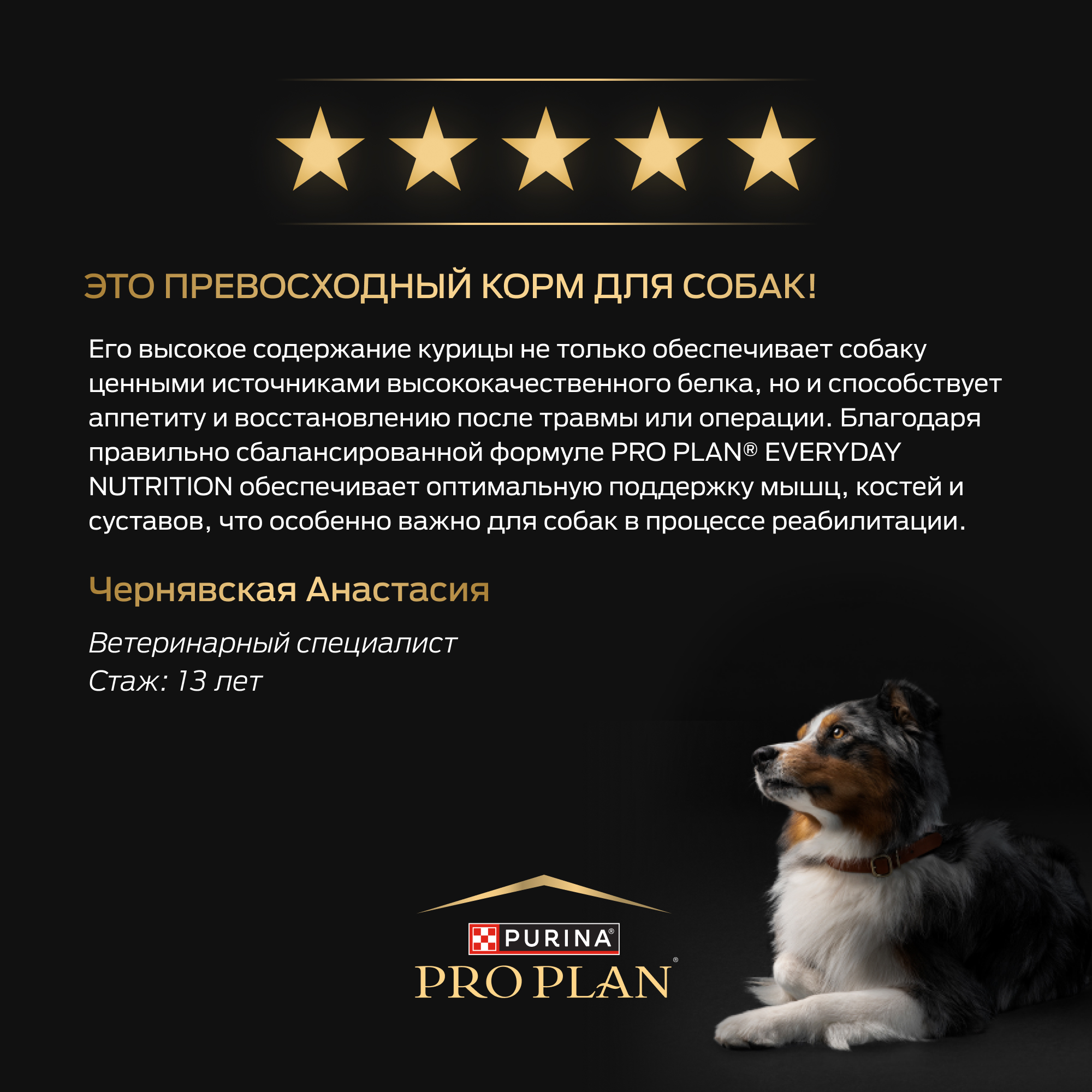 Сухой корм PRO PLAN® EVERYDAY NUTRITION для взрослых собак мелких и карликовых пород с курицей, 3 кг