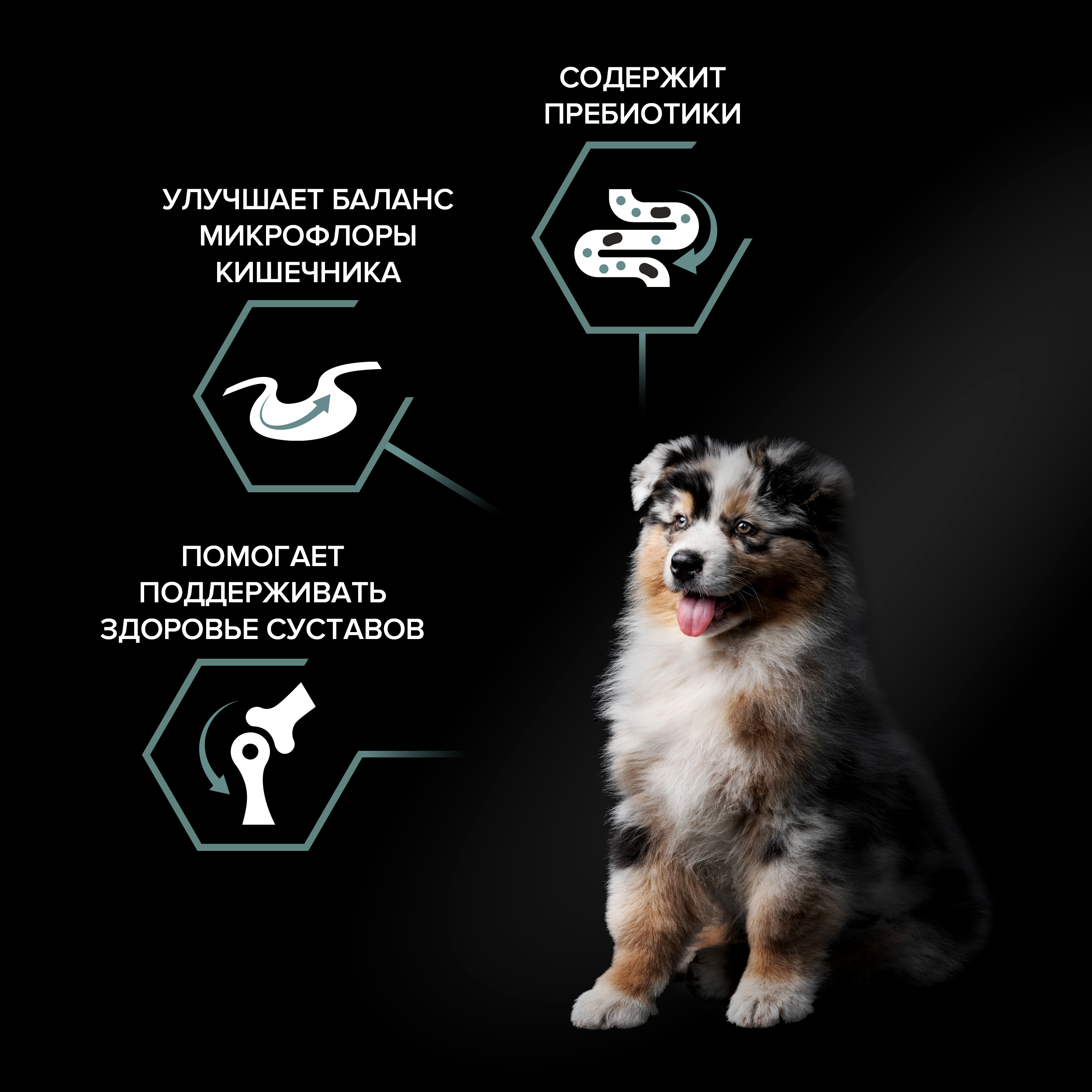 Сухой корм PRO PLAN® SENSITIVE DIGESTION для щенков средних пород с чувствительным пищеварением с ягненком, 12 кг