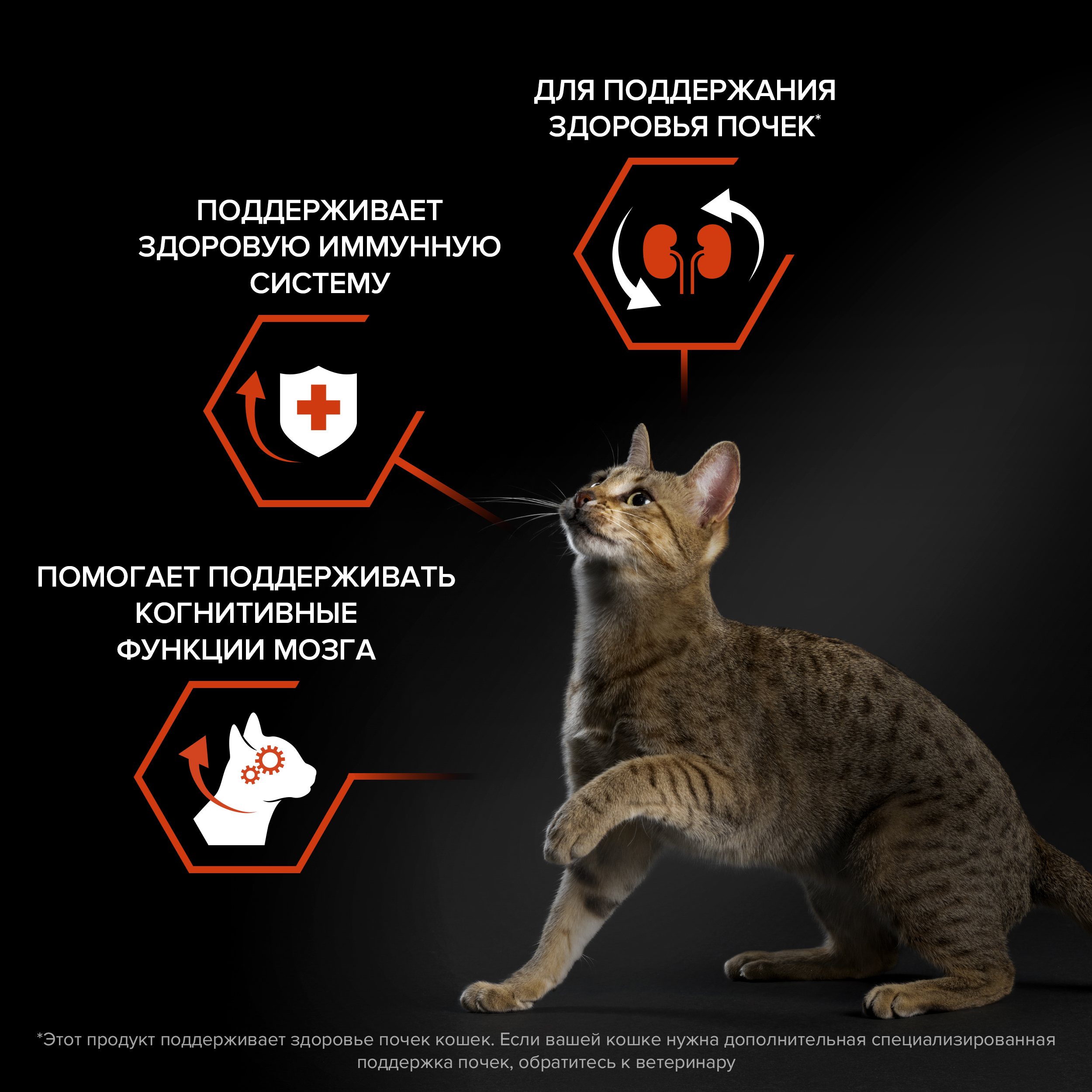 Сухой корм PRO PLAN® VITAL FUNCTIONS для взрослых кошек для поддержания функций почек, мозга и иммунитета с лососем, 3 кг
