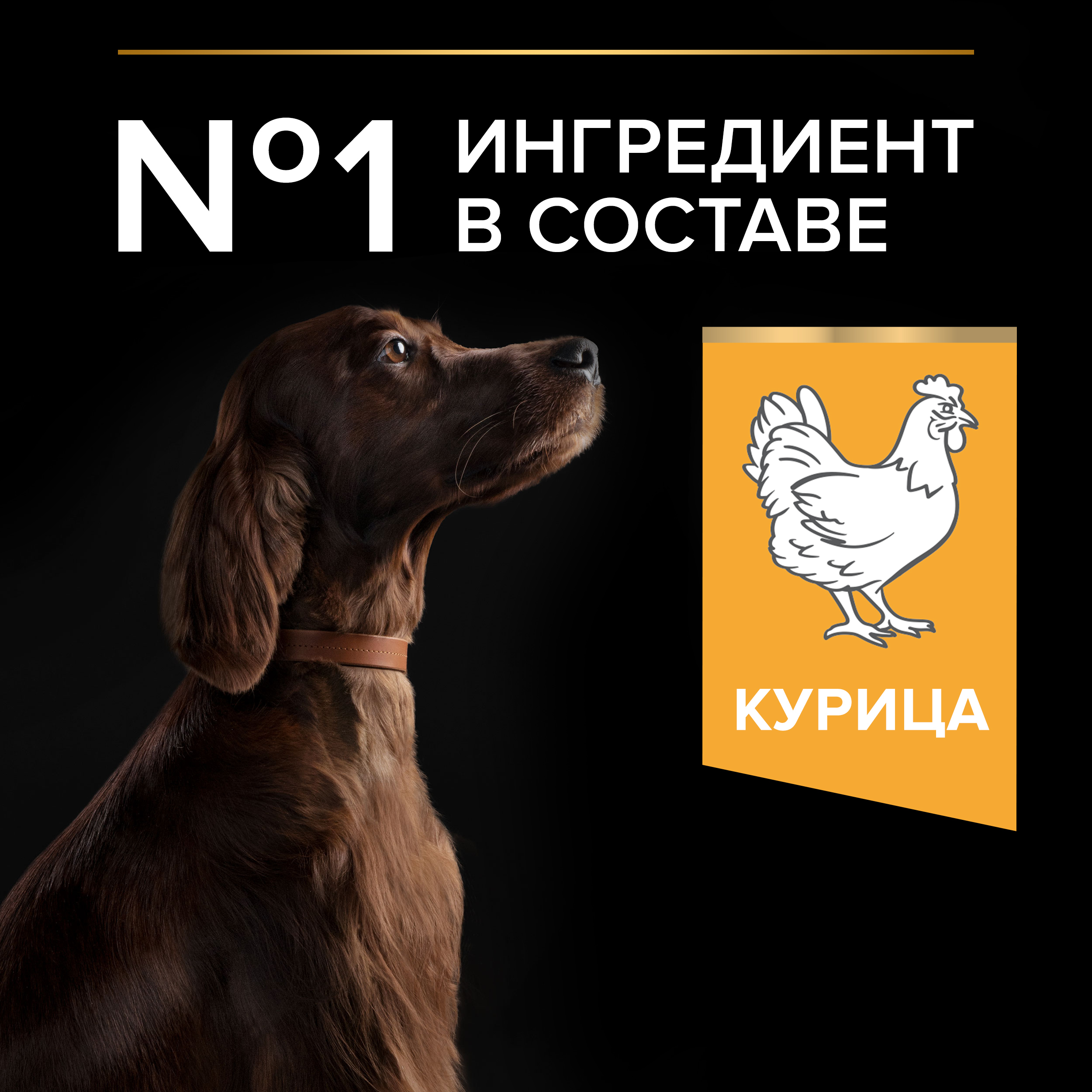 Сухой корм PRO PLAN® EVERYDAY NUTRITION для взрослых собак крупных пород с атлетическим телосложением с курицей, 14 кг