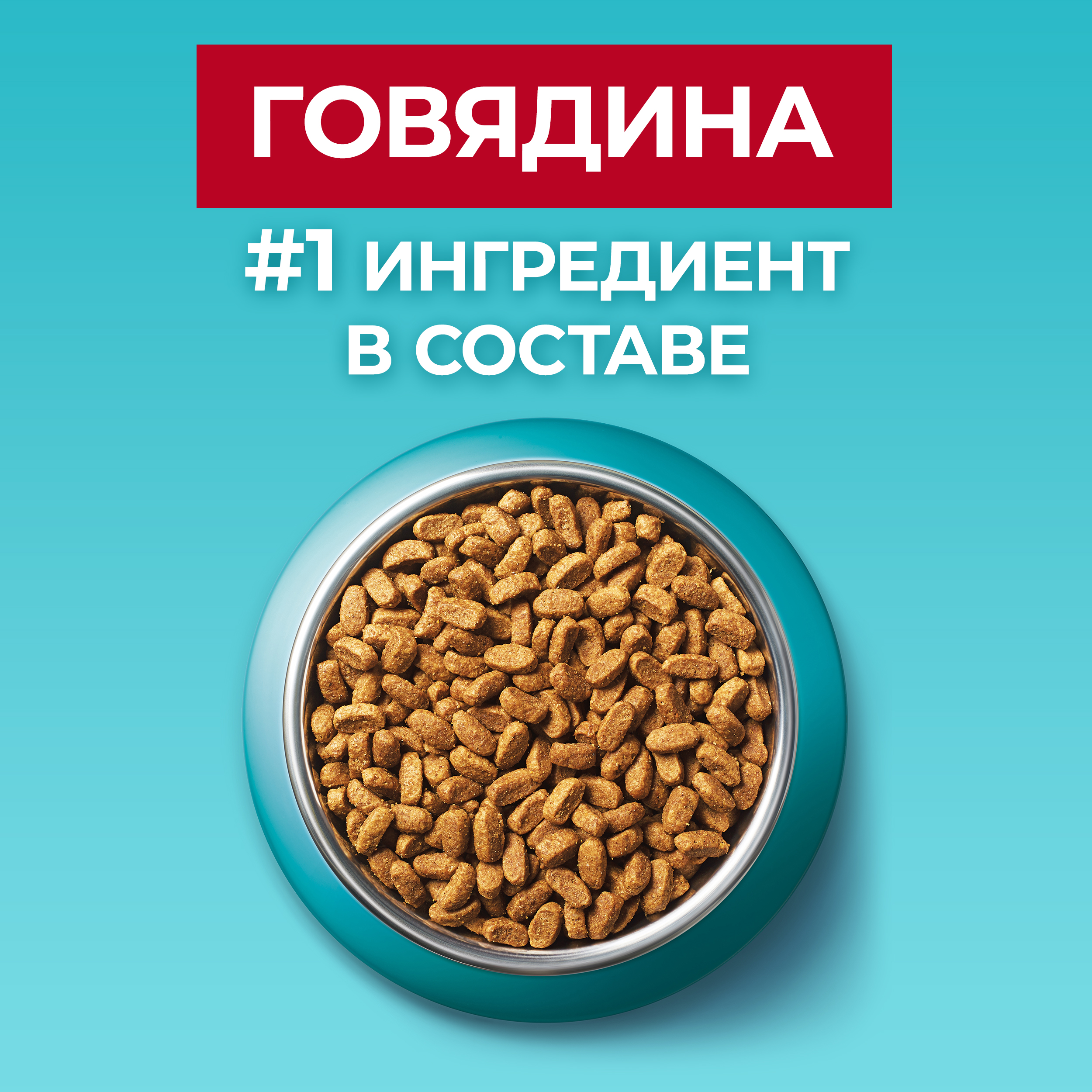 Сухой корм PURINA ONE® для стерилизованных кошек и кастрированных котов с говядиной 750 г