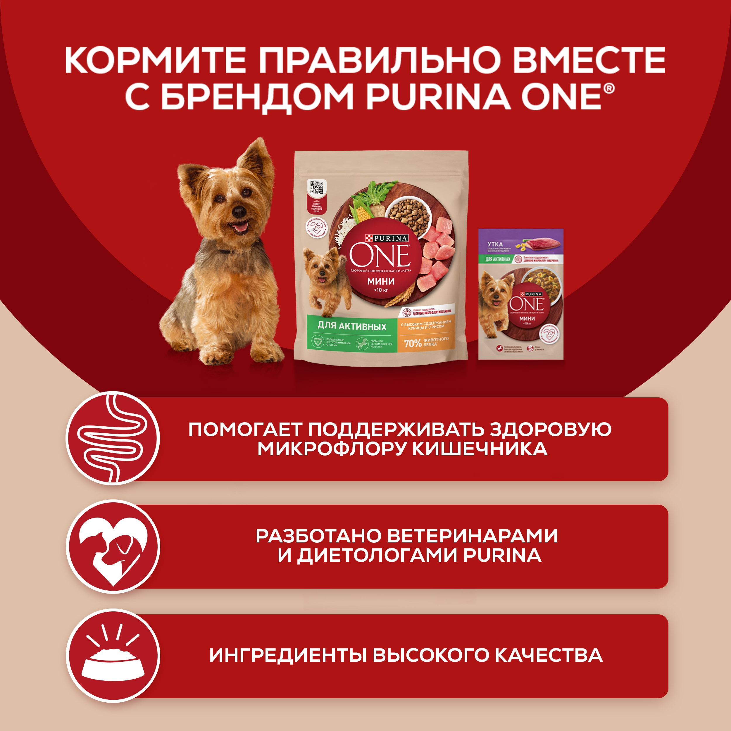 Влажный корм Purina ONE® МИНИ для собак мелких и карликовых пород с чувствительным пищеварением с лососем, рисом и морковью в соусе 85 г x 26 шт
