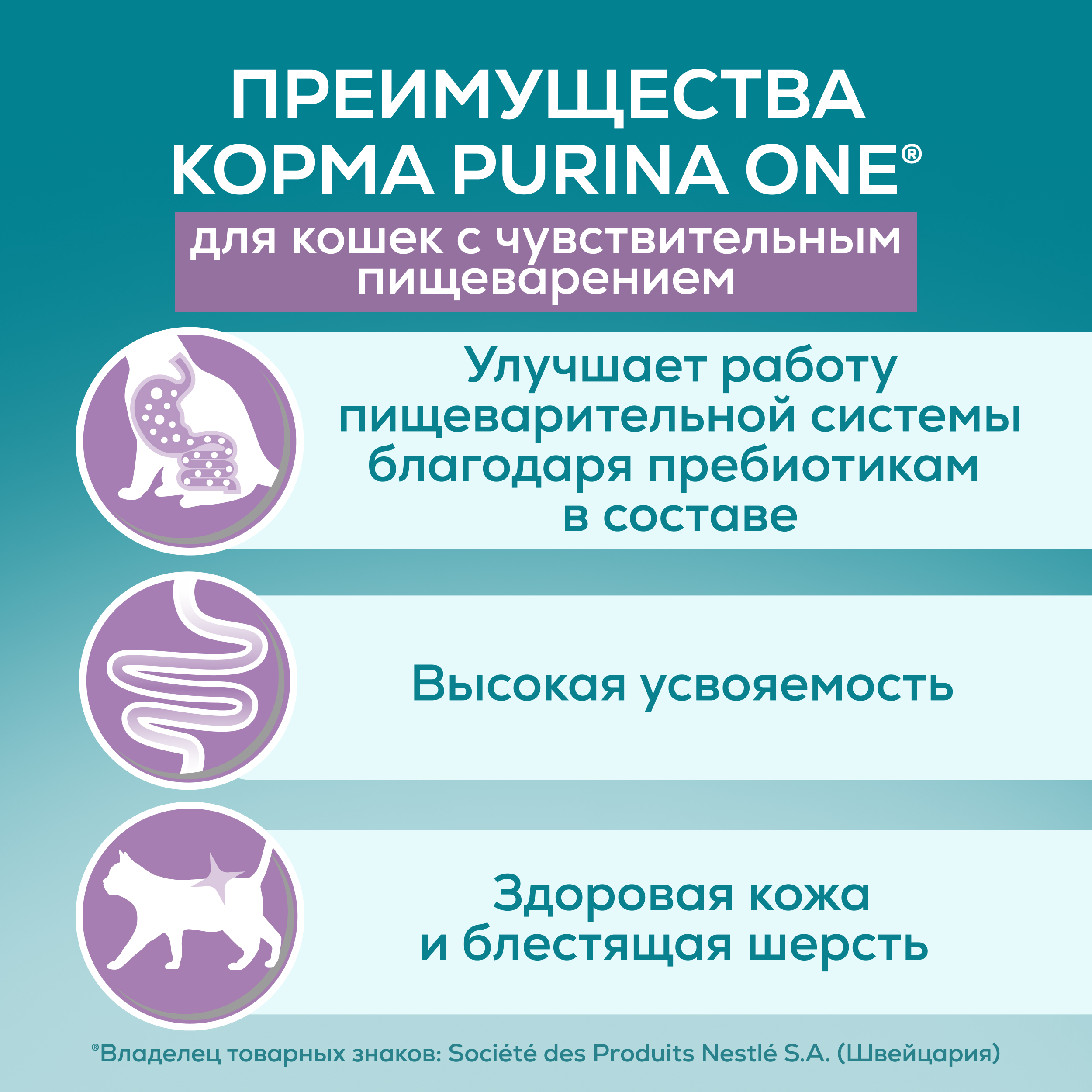 Влажный корм PURINA ONE® для взрослых кошек для чувствительного пищеварения с курицей и морковью 75 г х 26 шт