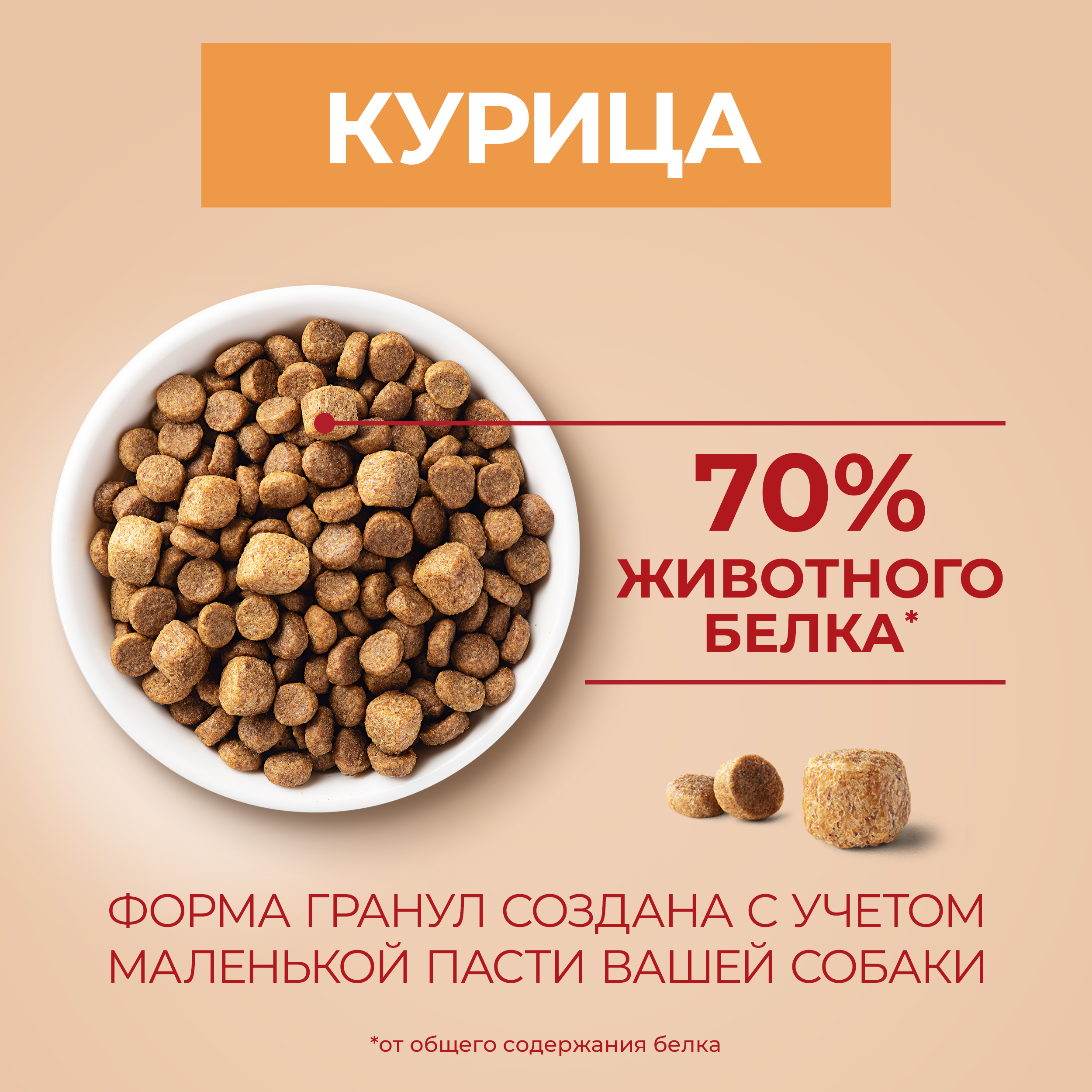 Сухой корм Purina ONE® МИНИ для активных собак мелких пород с курицей и с рисом, 3 кг