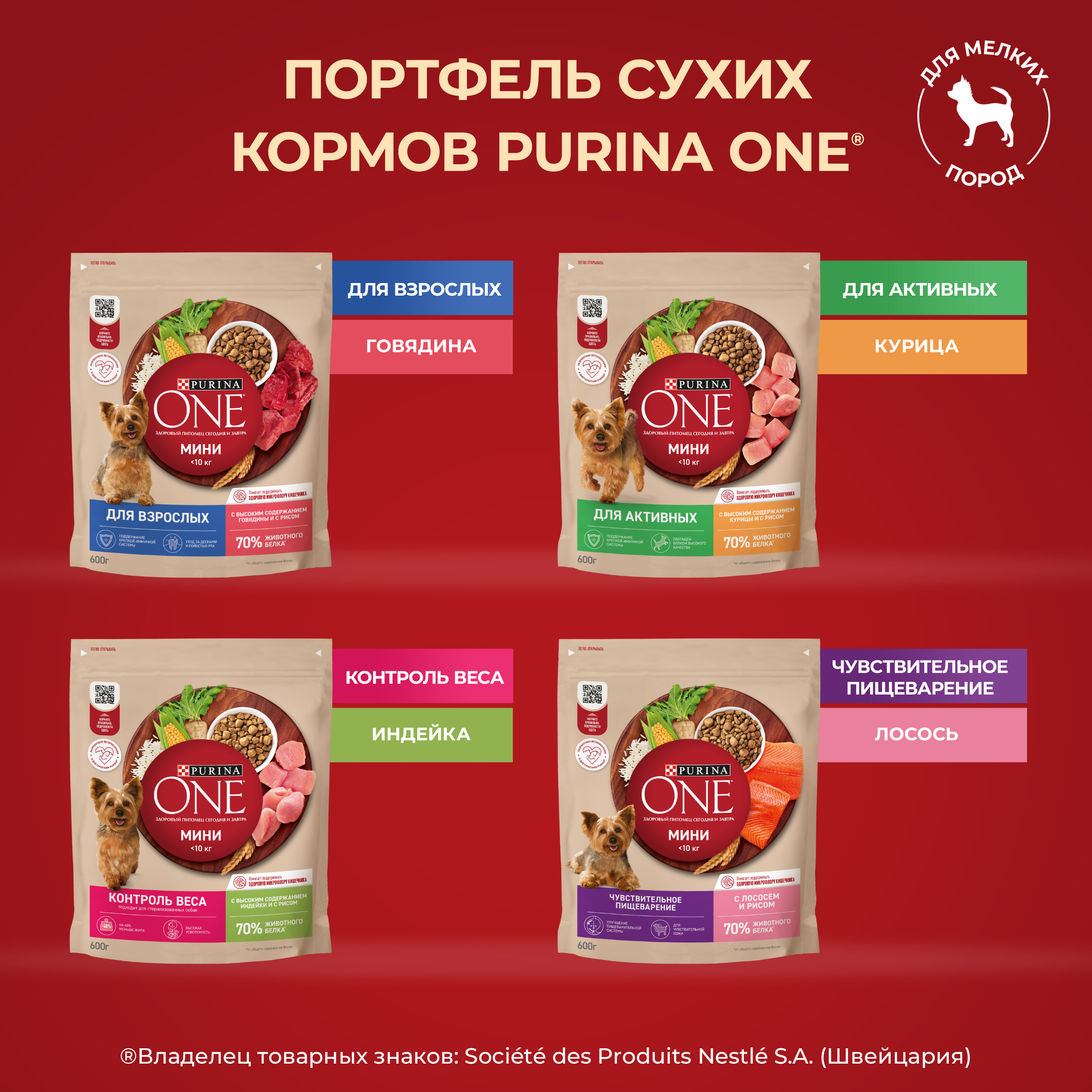 Сухой корм Purina ONE® МИНИ для активных собак мелких пород с курицей и с рисом, 3 кг