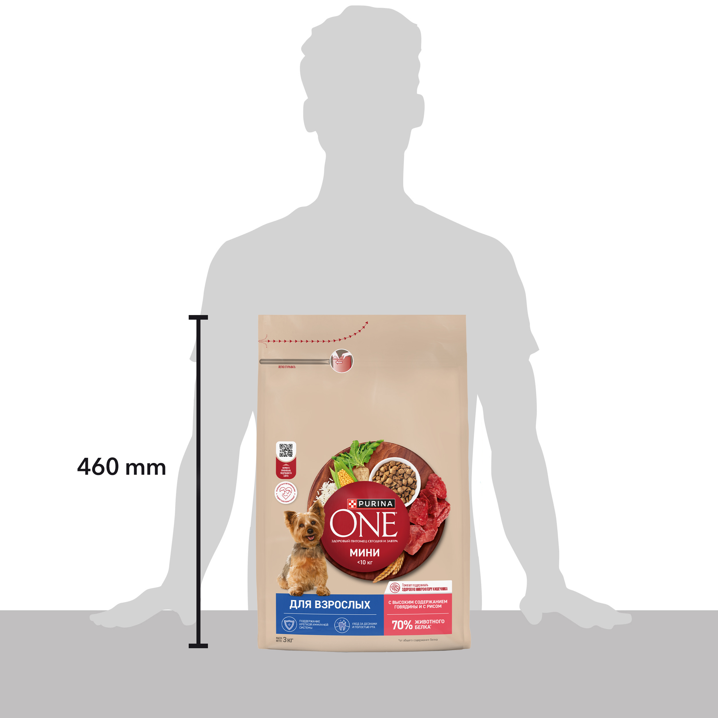 Сухой корм Purina ONE® МИНИ для взрослых собак мелких пород с говядиной и с рисом, 3 кг