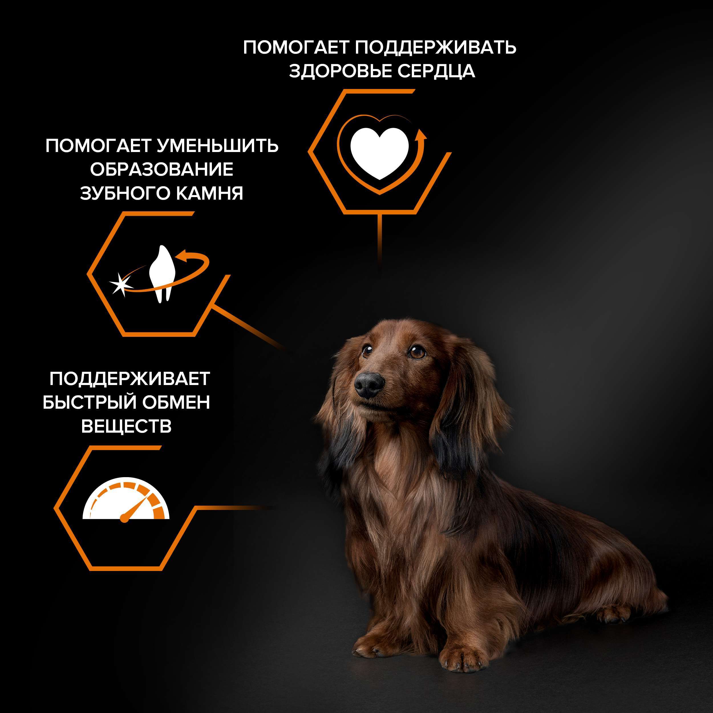 Сухой корм PRO PLAN® EVERYDAY NUTRITION для взрослых собак мелких и карликовых пород с курицей, 7 кг