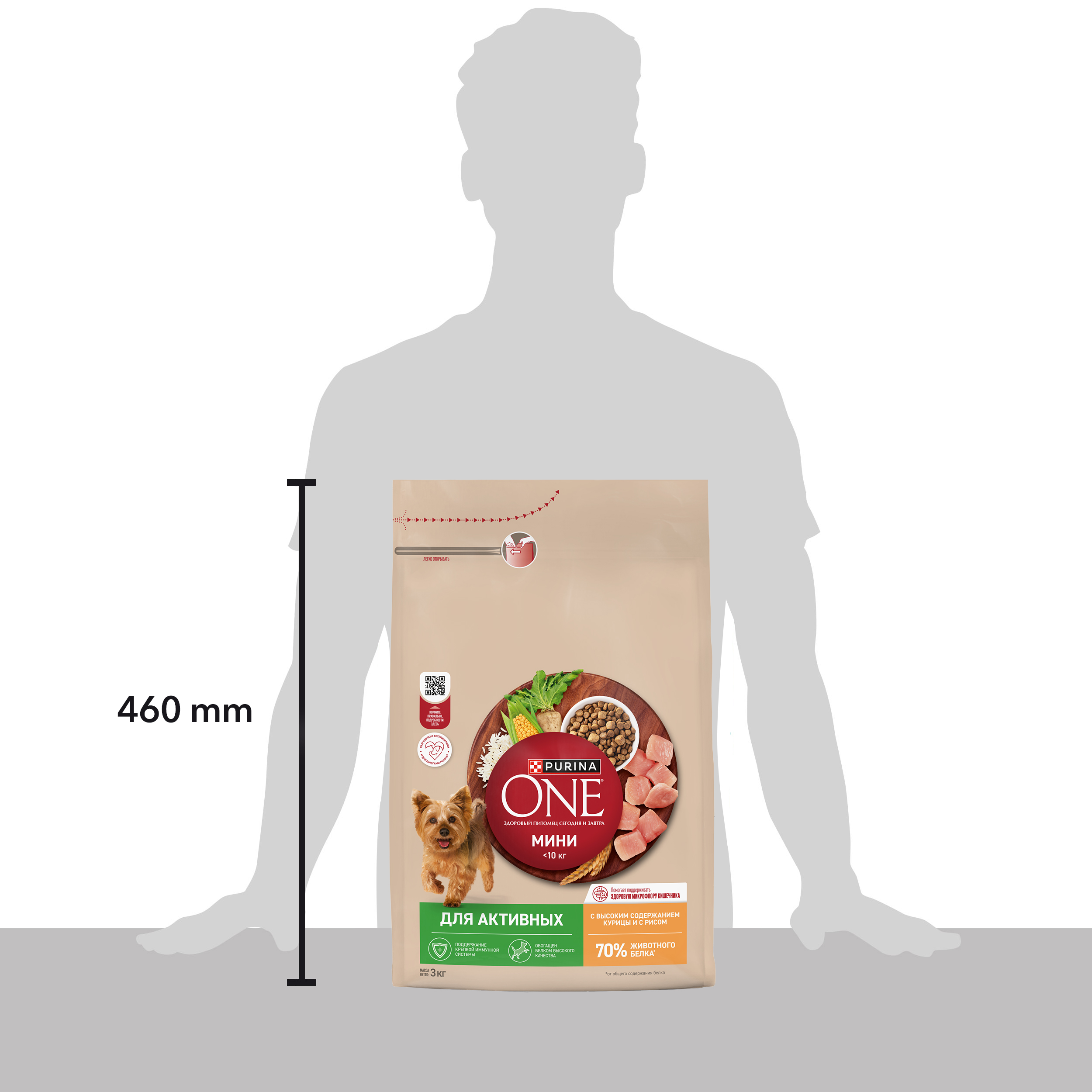 Сухой корм Purina ONE® МИНИ для активных собак мелких пород с курицей и с рисом, 3 кг