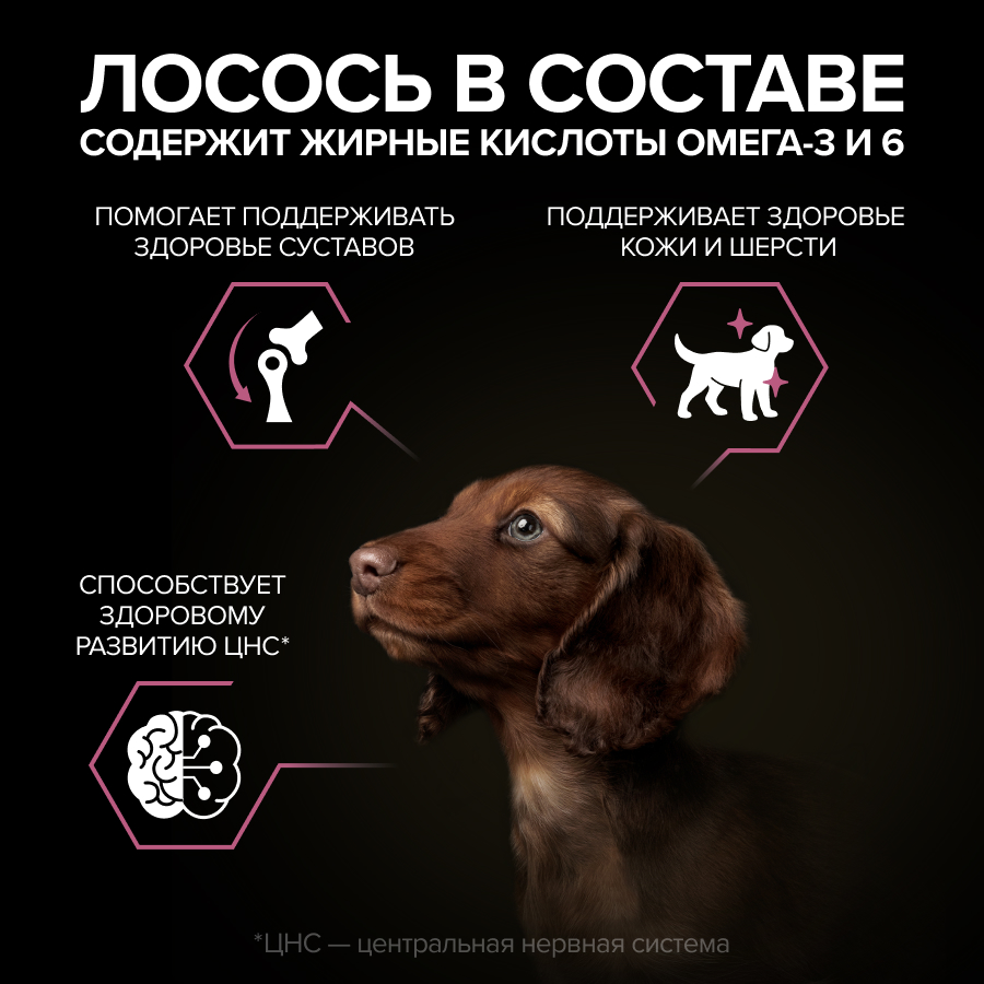 Сухой корм PRO PLAN® SENSITIVE SKIN для щенков мелких и карликовых пород с чувствительной кожей, с высоким содержанием лосося, 700 г