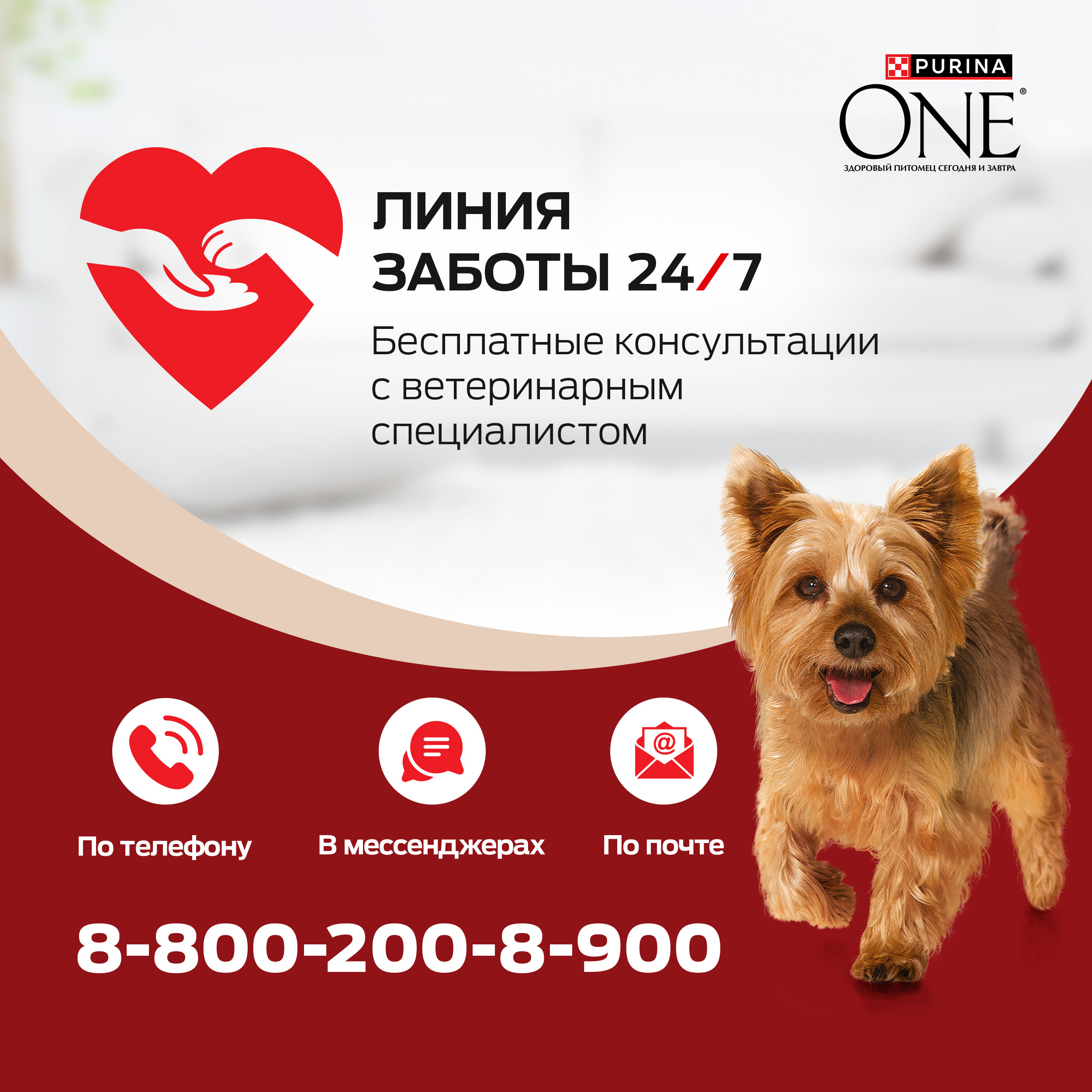Влажный корм Purina ONE® МИНИ для собак мелких и карликовых пород с чувствительным пищеварением с лососем, рисом и морковью в соусе 85 г x 26 шт