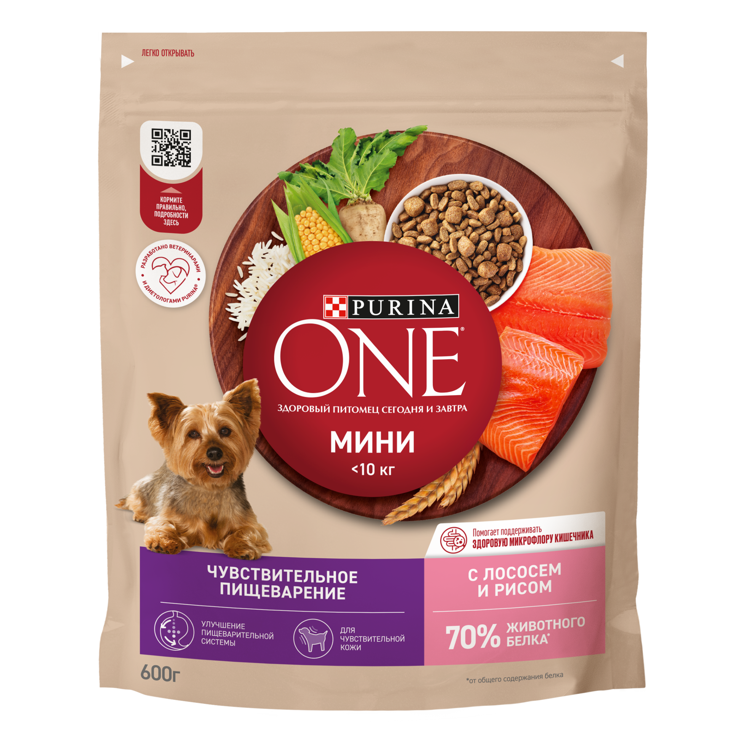 Сухой корм Purina ONE® МИНИ для собак мелких пород для чувствительного пищеварения с лососем и рисом 600 г